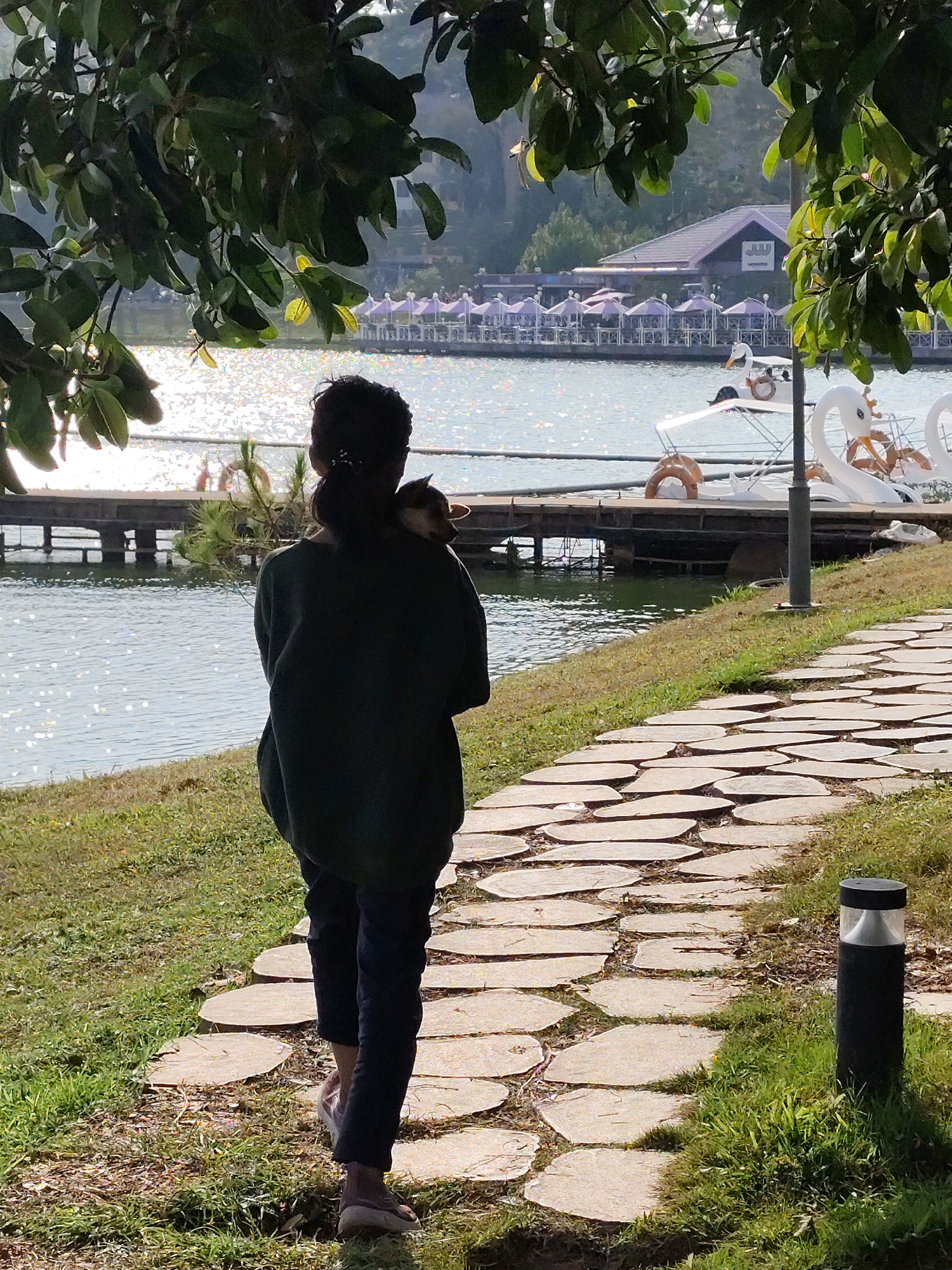 A person walks away on a stone-paved path along a lake in Da Lat, Vietnam, holding a cat over their shoulder. The lake sparkles in the sunlight, and there are swan-shaped paddle boats and a restaurant with purple umbrellas in the background. The path is lined with grass and interspersed with a small, black, cylindrical light fixture. The scene is partially framed by tree branches overhead.