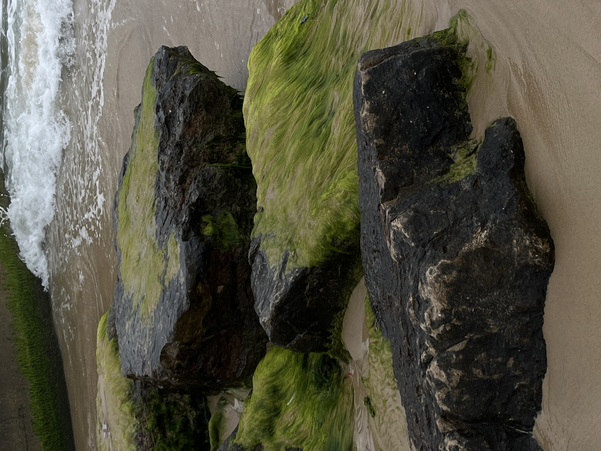 The image depicts a close-up, ground-level view of a shoreline, likely in Tel-Aviv, Israel. The primary subjects are a series of dark rocks or breakwater stones, partially covered in vibrant green algae or seaweed. White foamy waves are visible on the left, indicating the edge of the ocean. The scene features a sandy beach area adjacent to the rocks. There is no evidence of people or interactions. The environment appears natural, showcasing the interface between the sea and land.