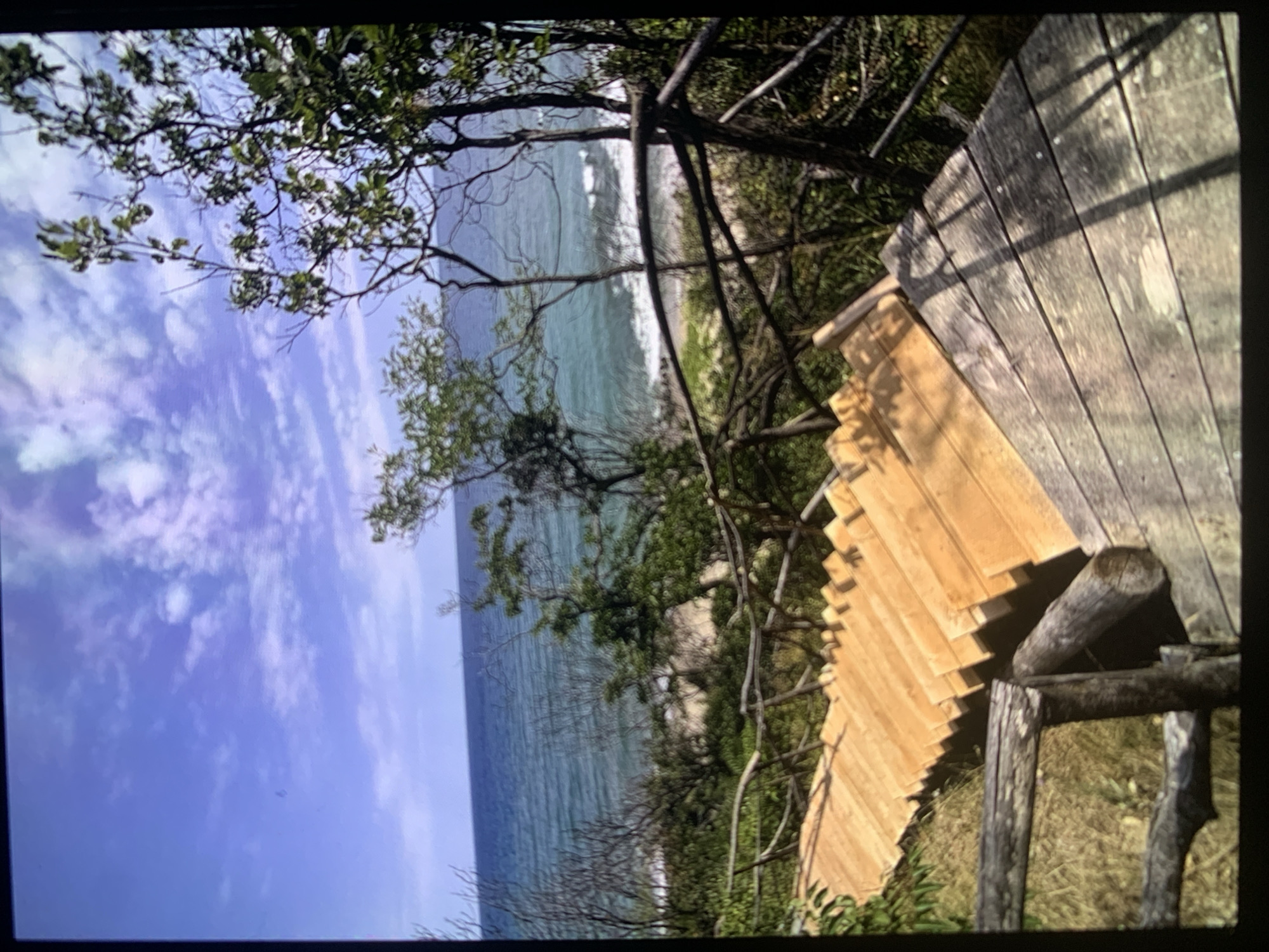 A scenic coastal landscape is captured from an elevated perspective, looking out towards the sea. The top of the frame features a clear blue sky adorned with scattered, wispy white clouds. Below the sky, a vast expanse of light blue and turquoise ocean stretches towards the horizon, displaying gentle waves breaking with white foam closer to a narrow, sandy or rocky beach.
Dense, natural vegetation, including trees and bushes with both green foliage and some bare branches, occupies the middle ground, partially framing the view of the ocean and beach. In the foreground, to the right, a wooden structure is prominently featured. This structure, possibly a set of stairs or a deck, is constructed from light-colored planks, some appearing newer or more brightly lit by the sun, contrasting with darker, weathered wooden posts or railings. Shadows are cast across the wooden surfaces, suggesting sunlight filtering through overhead branches.
The image depicts a bright, clear day, likely late morning or early afternoon, given the strong, direct light. No people or visible text are present. The scene conveys a sense of natural beauty and peacefulness in a rugged coastal setting.
