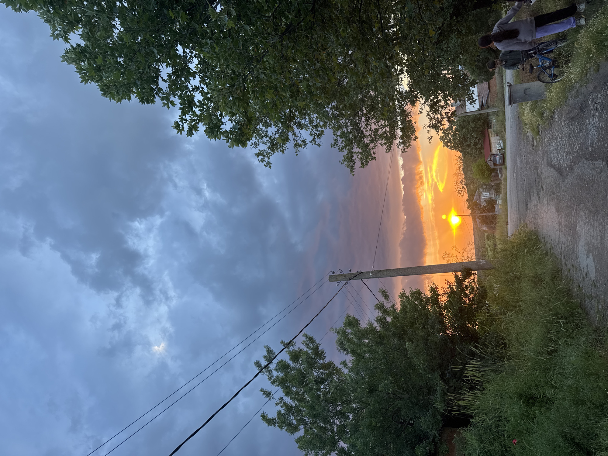 A low-angle, rotated view of a street in Ruzhitsa, Bulgaria at sunset. Above, storm clouds with pink-orange hues from the setting sun. A large tree overhangs the street on the left. Below, on the right, a paved road edges into a grassy area. Above and along the street, another tree overhangs. A power pole and wires stretch diagonally across the image. Two figures stand near the roadside under the overhanging tree. One figure holds a bicycle. A trash receptacle sits nearby. Houses and trees line the street further down. A streetlamp glows intensely at the center of the street near the sunset.