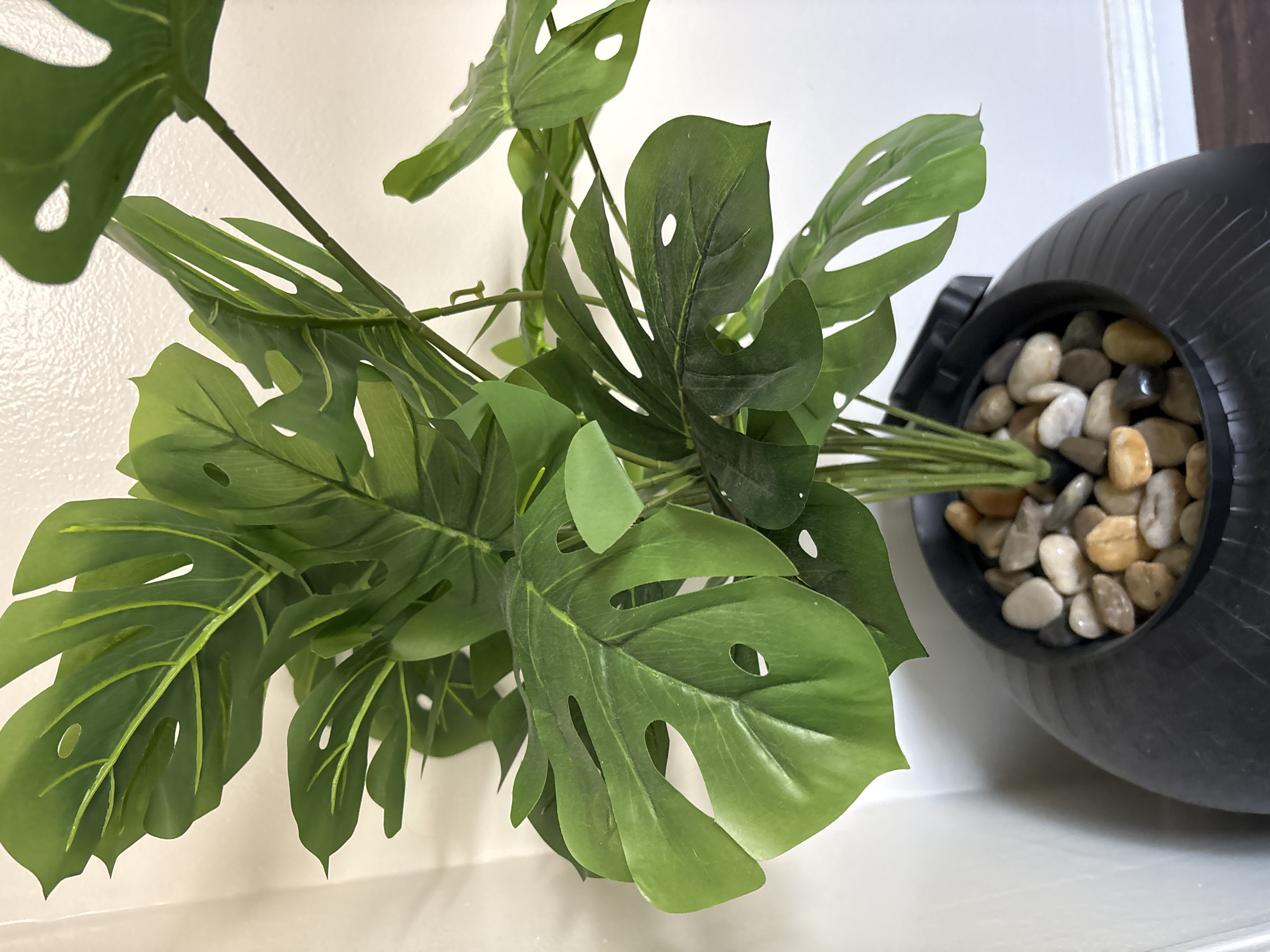 An indoor, overhead shot captures an artificial Monstera plant displayed on a white surface against a white, textured wall. The plant features numerous large, vibrant green leaves with characteristic fenestrations (holes and splits), mimicking a real Monstera deliciosa. The leaves appear to be made of plastic or silk, with visible veins.
The base of the plant's stems is inserted into a black, semi-circular or oval-shaped planter, which is lying on its side. The planter has a textured, ribbed surface. Its opening is filled with an assortment of smooth, polished pebbles in various natural shades of light tan, grey, and white, securing the plant in place.
The white surface beneath the planter and plant reflects ambient light, suggesting a countertop or shelf. The wall behind the plant is uniformly white and has a subtle, bumpy texture, possibly stucco or a patterned wall covering. No specific activity is occurring, and there are no people or visible text in the frame. The scene presents a static decorative arrangement, likely within a home or office setting in Seal Beach, United States of America.