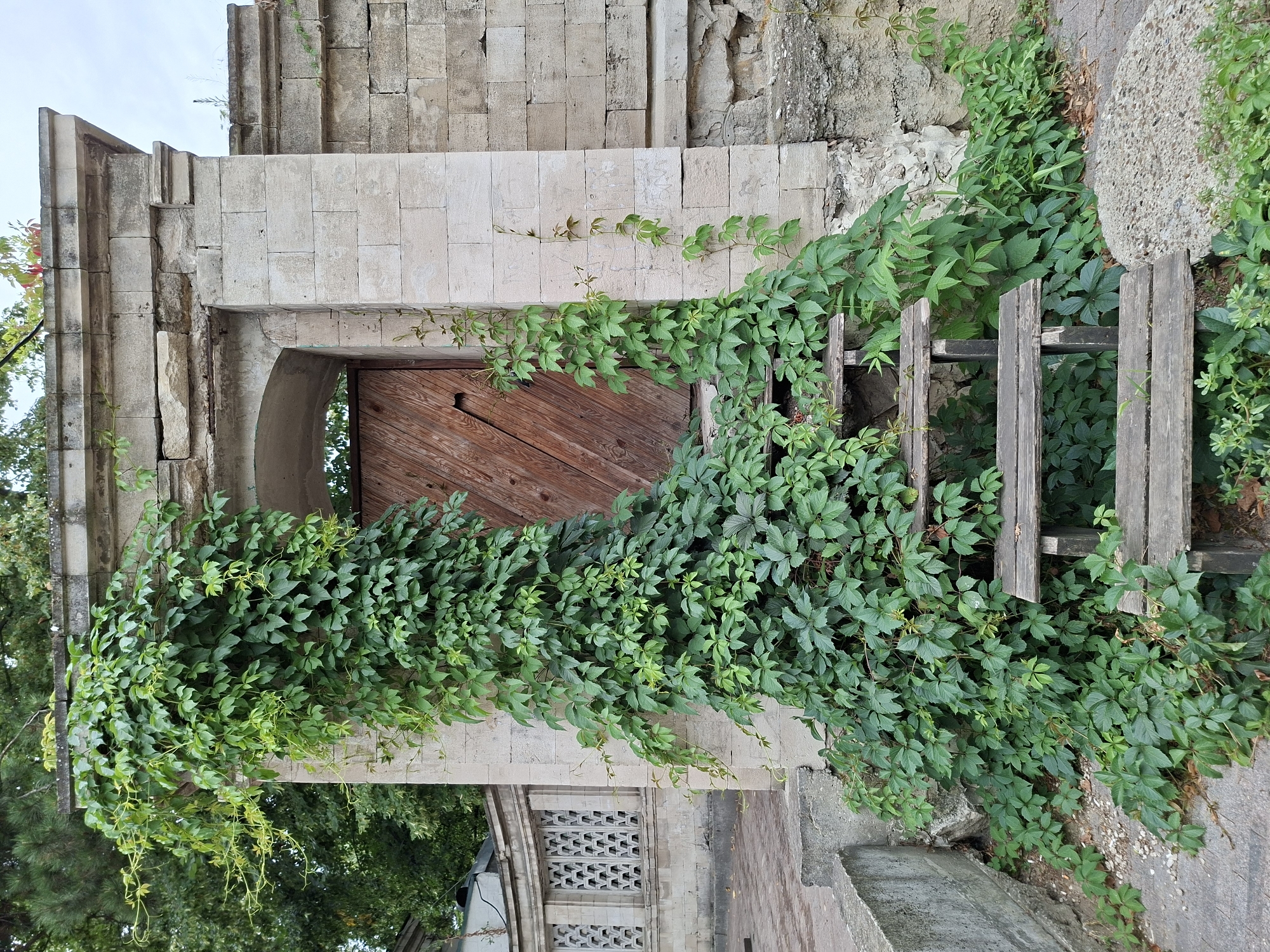 The image depicts an overgrown entryway with a wooden door set within a stone archway. Thick green vines completely cover the left side of the archway and extend down over a set of three weathered wooden steps. Additional vines are visible on the right side of the doorway and climbing the stone wall. The stone construction appears aged, with some blocks showing wear. To the left of the entryway, a section of a building with decorative latticework is visible, also partially obscured by greenery. The ground in front of the steps is a mix of paving stones and loose gravel, with more low-lying vegetation. The scene suggests an abandoned or disused entrance, enveloped by nature. This location is identified as the entrance to the abandoned Sanatorium "Konstantin Sîrbu" in Chișinău, Moldova. There are no people or animals present in the image.