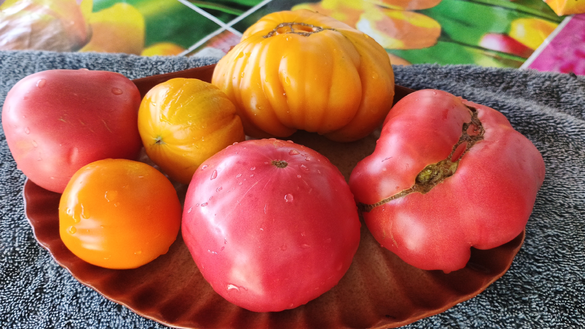 A close-up overhead shot shows a variety of wet, colorful heirloom tomatoes arranged in a brown ceramic dish on a gray, textured surface. The tomatoes are primarily red and yellow-orange, with some exhibiting irregular, lobed shapes and cracks. The background is blurred, revealing a colorful, abstract pattern. The scene is indoors, and the lighting suggests it is daytime. The dish appears to be on a table or countertop.