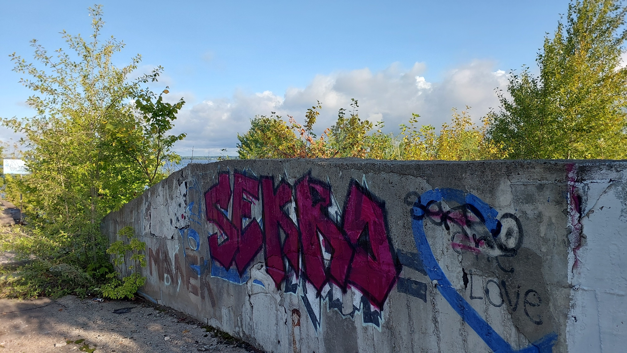 A curved concrete wall, covered in graffiti, is pictured under a partly cloudy sky. The graffiti includes a large pink and black tag that reads "SEKRA," as well as other smaller tags and markings in blue, black, and pink. The wall is situated next to a path and surrounded by overgrown vegetation, including trees and bushes with green and yellow leaves. In the background, a body of water and more trees can be seen, suggesting a natural or semi-rural setting within the city. The scene appears to be outdoors during the daytime.