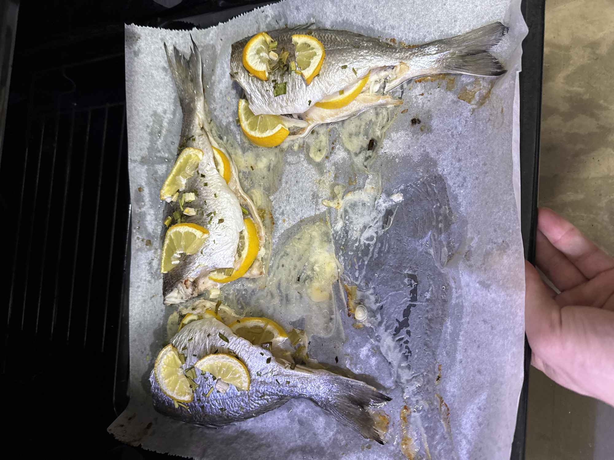 Three baked fish, stuffed with lemon slices and herbs, lie on parchment paper on a black baking sheet. The baking sheet is partially inside an oven. A hand holds the right edge of the baking sheet. The specific location and the city of Sofia, Bulgaria are not discernible from the image.