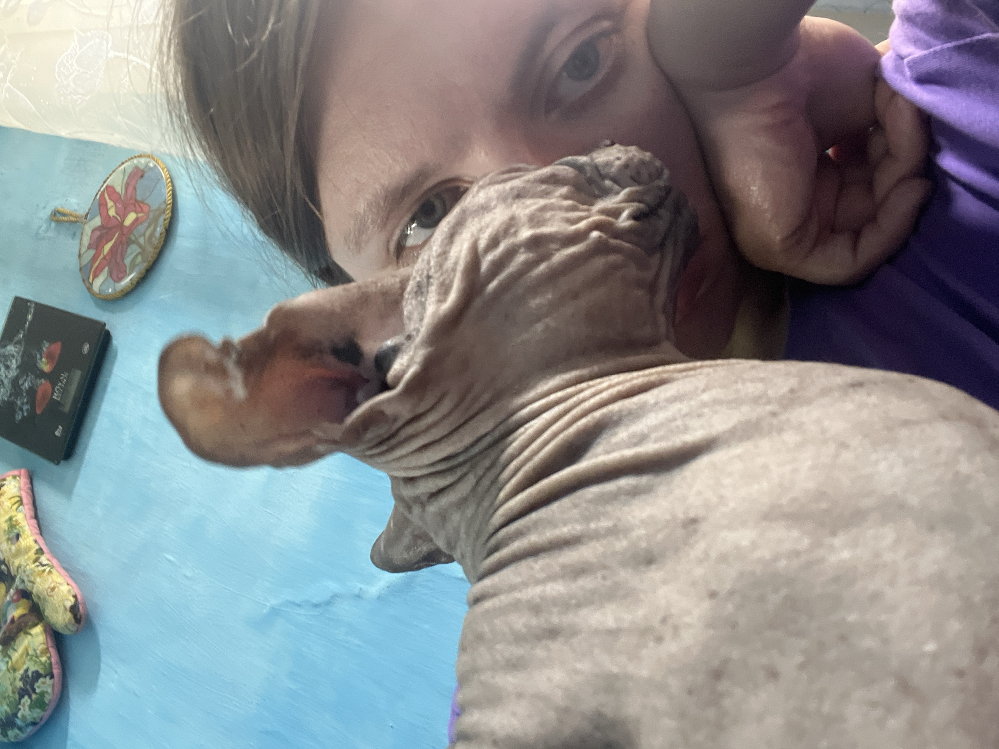 The image shows a close-up of a person's face and a Sphynx cat. The person's face is partially obscured by the cat, and they appear to be resting their head on their hand. The cat is looking towards the camera, with its ears erect. The background is a blue wall with some decorative items, including what appears to be a woven mat and a framed picture of a flower. There is no information available to determine the location of this image in Nizhny Tagil, Russia.