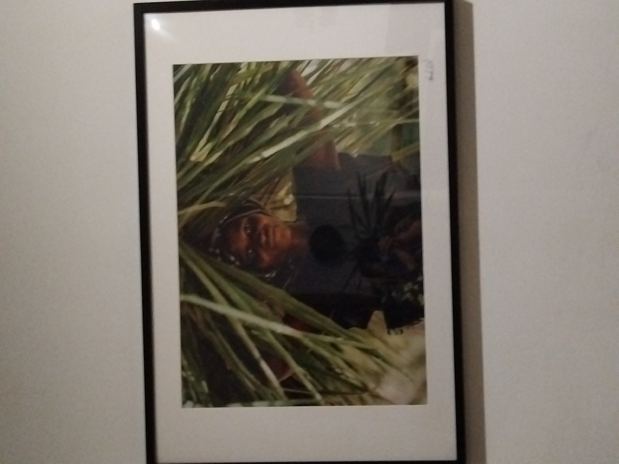 A framed photograph displays a person partially obscured by long, green reeds or grasses. The person, who appears to be a woman with dark skin and wearing a headscarf, is looking towards the camera. She is wearing a dark garment that covers her torso. The background is out of focus, but suggests an outdoor, possibly natural, environment. The photograph is mounted on a white mat and enclosed in a black frame. The image is hung on a plain, light-colored wall.