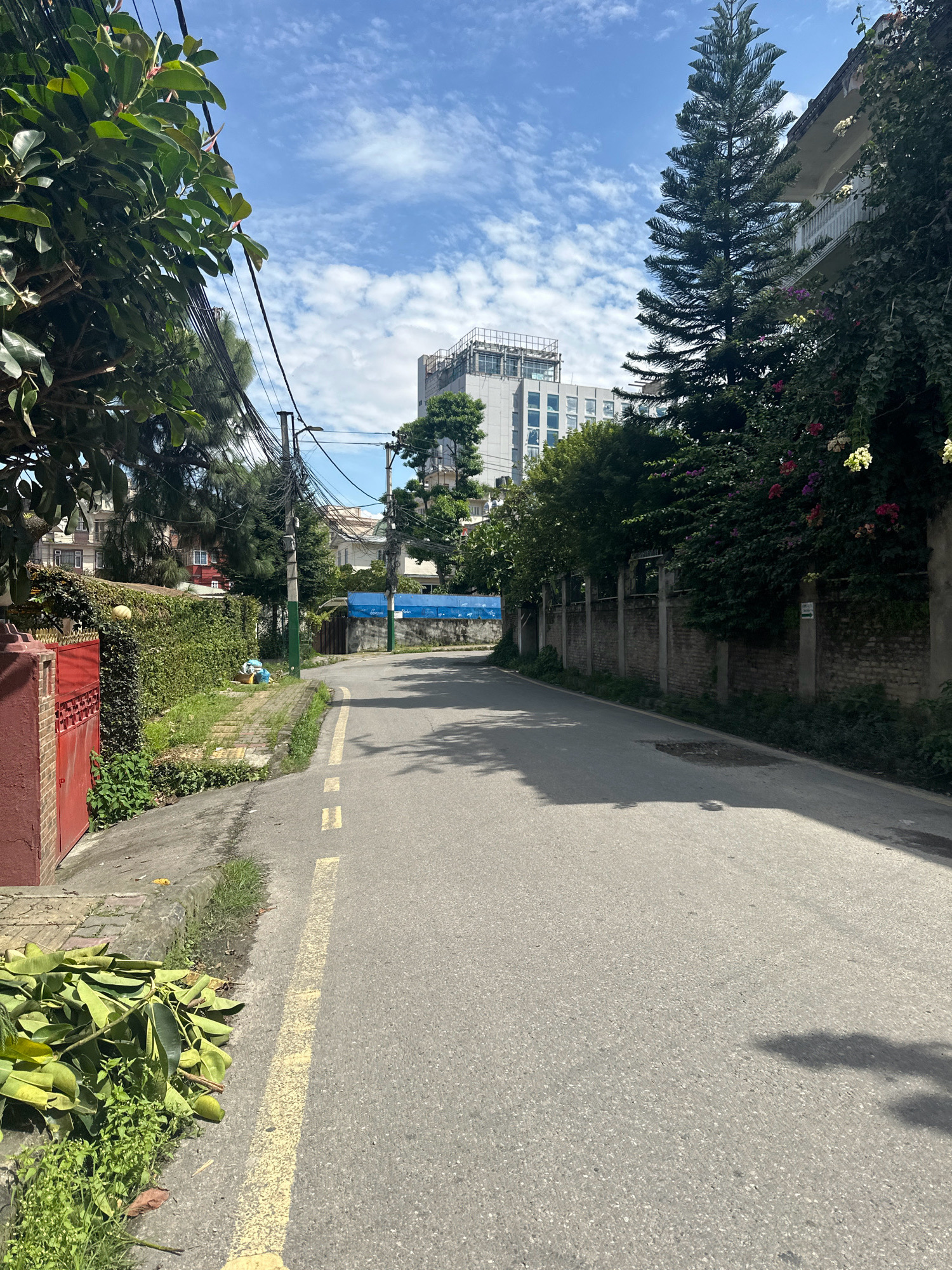 The image depicts a residential street in Lalitpur, Nepal, on a clear day with scattered clouds. The street is paved and marked with yellow dashed lines. On the left side of the road, there is a red gate, a wall covered in greenery, and a pile of fallen leaves and branches. A sidewalk runs alongside the road, bordered by grass. On the right side of the road, a brick wall and lush vegetation line the street, with a tall pine tree in the foreground. In the background, several buildings of varying heights are visible, including a modern multi-story structure and residential buildings. Overhead, numerous electrical wires are strung between utility poles. The scene appears quiet, with no people or vehicles visible.