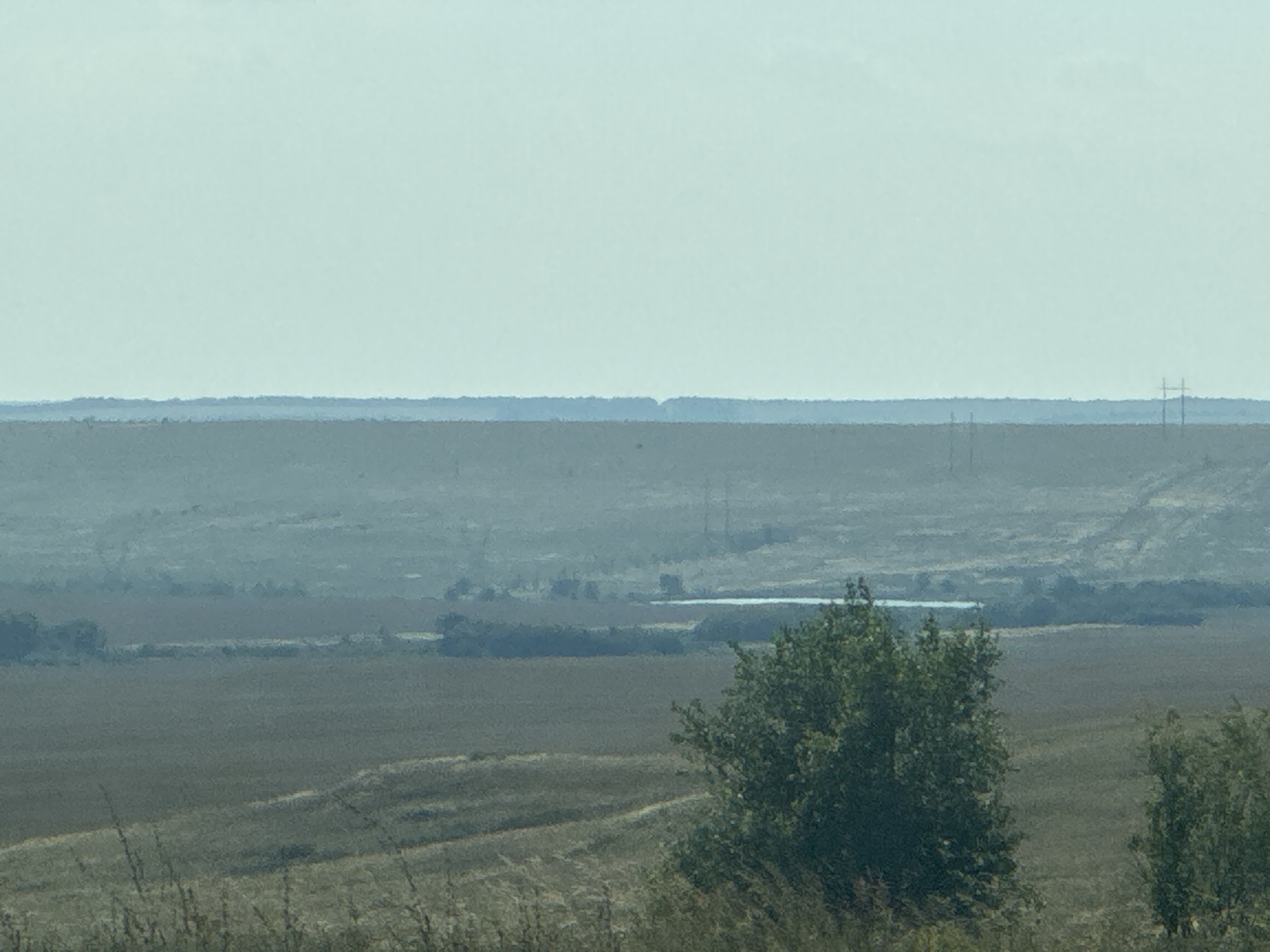 This is an outdoor, wide-angle, medium-distance photograph of a rural landscape. The sky is a pale, hazy blue and occupies the top third of the frame. A distant, dark, horizontal line of trees or foliage runs across the middle ground, separating the sky from the land. Below this line, the landscape consists of rolling hills and fields, rendered in muted greens and browns due to a haze or distance. In the middle distance, a small, bright body of water, possibly a pond or lake, is visible, reflecting the sky. Several utility poles with wires are present in the far distance. In the foreground, a large, leafy green tree stands on the right side, and to its left, a smaller, similar tree is partially visible. The ground in the immediate foreground is covered in dry, tall grasses. The overall impression is one of a quiet, expansive, and somewhat desolate natural environment. The scene is consistent with the geographical area of Perevolotsky, Russia, known for its vast agricultural plains and natural reserves.