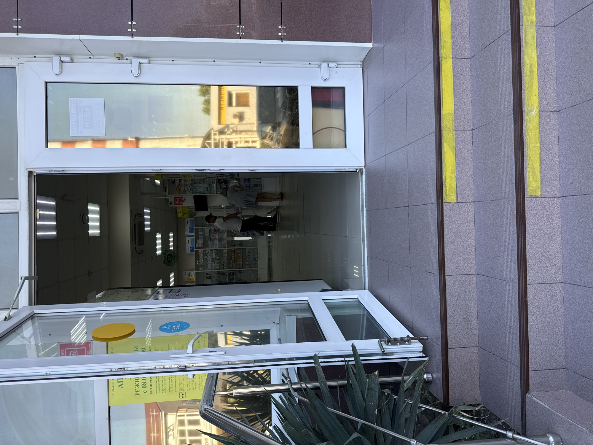 The image shows the entrance to a pharmacy in Anapa, Russia. A white door frame with glass panels stands open, revealing the interior of the pharmacy. Inside, shelves are stocked with medications and other products. Two individuals are visible within the pharmacy, one appearing to be an employee assisting a customer. The exterior of the building features a modern facade with a large window reflecting the surrounding environment. In front of the entrance, there are steps leading up to the doorway, with yellow anti-slip strips on some of the steps. A metallic railing runs alongside the steps. Lush green foliage is present to the left of the entrance.