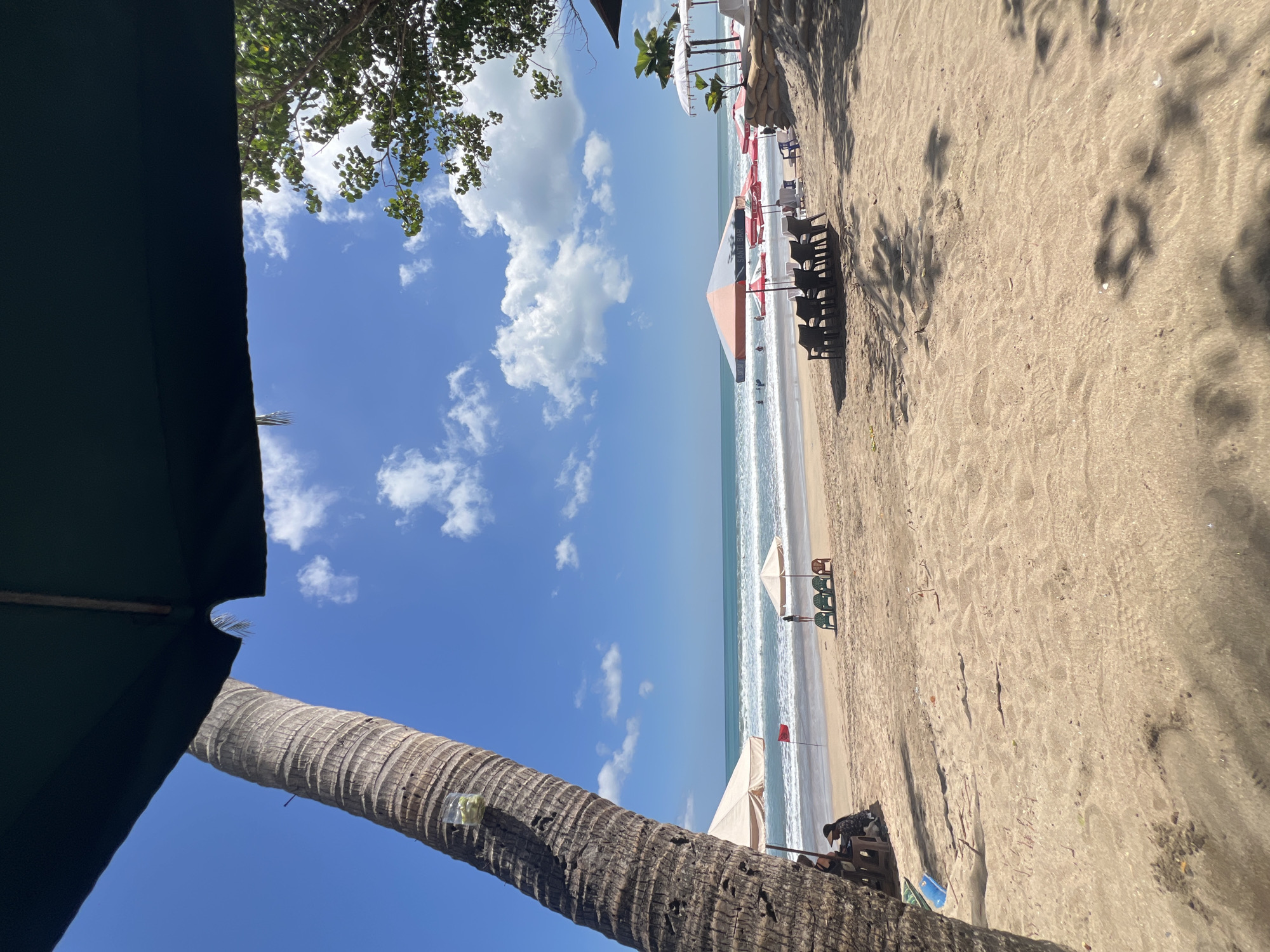 The image depicts a sunny day at Kuta Beach, Bali, Indonesia, with the turquoise ocean in the background and a sandy shore in the foreground. A large palm tree trunk is prominently featured on the left side of the frame, with a dark green canopy overhead partially obscuring the sky. Several beach umbrellas, both open and closed, are scattered across the sand, some with chairs set up underneath, indicating a tourist area. There are a few people visible on the beach and in the water, suggesting a leisurely day. The waves are moderately sized, and the sky is a clear blue with scattered white clouds. The overall scene conveys a tropical beach atmosphere.