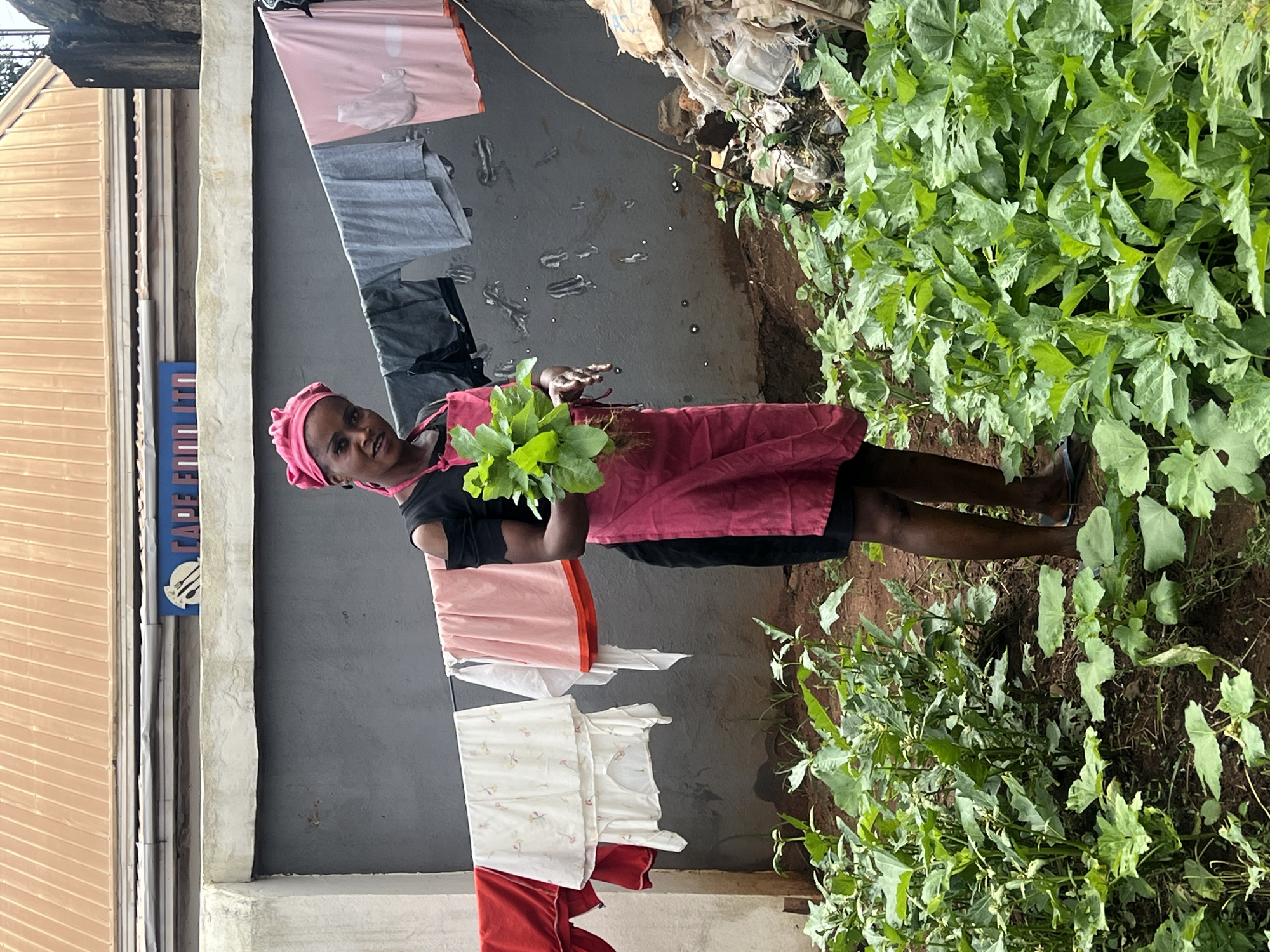 A dark-skinned woman with a pink headscarf and a pink apron over a black dress stands in a small garden. She is holding a bunch of green leafy vegetables with roots in her right hand. Behind her, laundry hangs on a clothesline strung across a grey wall. The laundry includes red, white, and pink items. Above the wall, a tan, corrugated metal roof is visible. The garden is filled with lush green plants. In the background, to the right, is a pile of debris. The overall scene suggests a domestic outdoor setting, likely in a backyard or communal area.