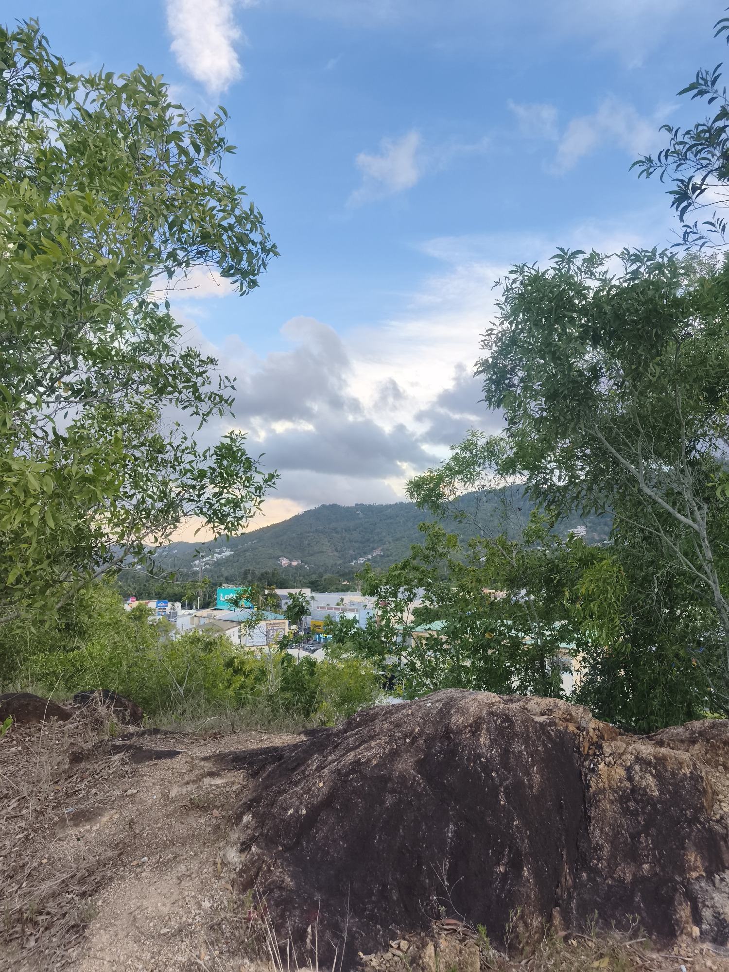 A wide-angle, high-angle shot captures a verdant hillside overlooking a coastal town. The foreground is dominated by a rocky, uneven terrain with sparse dry vegetation and large, dark-colored boulders. Two large trees with dense green foliage frame the view from the left and right edges of the image, their branches reaching towards the sky.
In the mid-ground, a collection of buildings with colorful roofs, predominantly white and light blue, are nestled amongst lush green trees. Signs are visible on some of the buildings, including one with the word "Loft" in turquoise. The town appears to be spread out along the base of a rolling, tree-covered mountain that rises in the background. The mountain exhibits varying shades of green, suggesting a dense forest cover.
The sky above is a clear blue, punctuated by fluffy white clouds, some of which are tinged with a soft orange hue, hinting at either sunrise or sunset. The lighting suggests it is either early morning or late afternoon, casting a gentle light over the scene. The overall impression is one of a tropical landscape, likely in Ko Samui District, Thailand, offering a panoramic view of a town situated between the sea and the hills. No people are visible in the image.