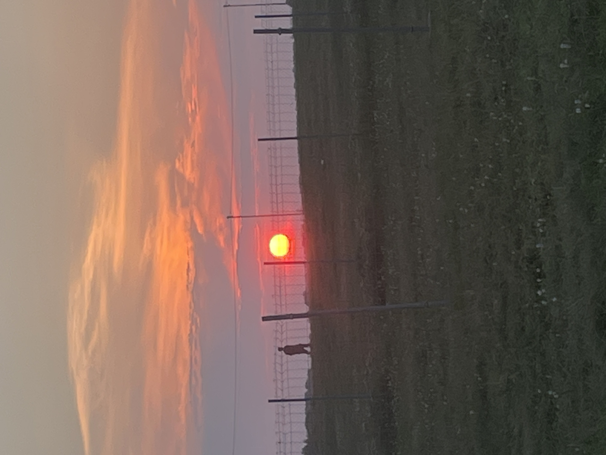 A lone figure walks near a chain-link fence against a vibrant sunset sky with hues of orange, pink, and yellow. The sun, a bright red-orange orb, is low on the horizon. The foreground consists of a grassy field with scattered white wildflowers. Several fence posts, some with barbed wire, are visible. Power lines stretch across the sky. The scene appears to be in a rural or undeveloped area, possibly on the outskirts of Surakovo, Russia, given the impressionistic nature of the background landscape.