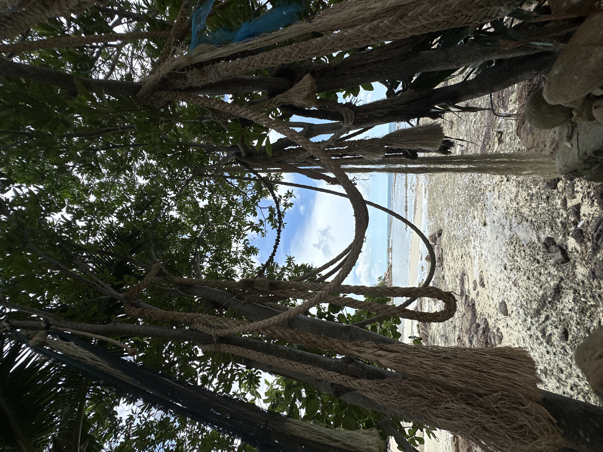 The image captures a view through the trees of a beach in Ko Phangan, Thailand. Thick, natural fiber ropes are prominently featured, some hanging vertically and others draped across branches, creating a textured, almost jungle-like foreground. The ropes are varied in thickness and condition, with some appearing frayed and weathered. In the background, a calm, shallow body of water meets a sandy and rocky shore. The sky above is partly cloudy, with patches of blue visible through the dense foliage of the trees. There are no people visible in the scene. The overall impression is one of a natural, slightly rustic beach setting.