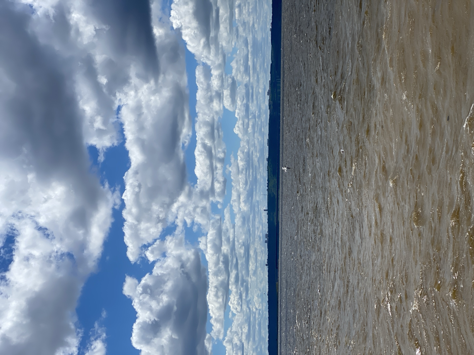 The image shows a wide body of water with choppy waves under a partially cloudy sky. In the distance, a dark, tree-lined shore is visible with a faint silhouette of a city skyline. A single bird is captured in mid-flight over the water, positioned slightly left of the center. The sky is a vibrant blue with scattered white and grey cumulus clouds, some appearing dense and shadowed. The water has a murky, brown-green hue and reflects the light, creating bright highlights on the wave crests. The overall impression is of a breezy day with a cityscape in the background.
