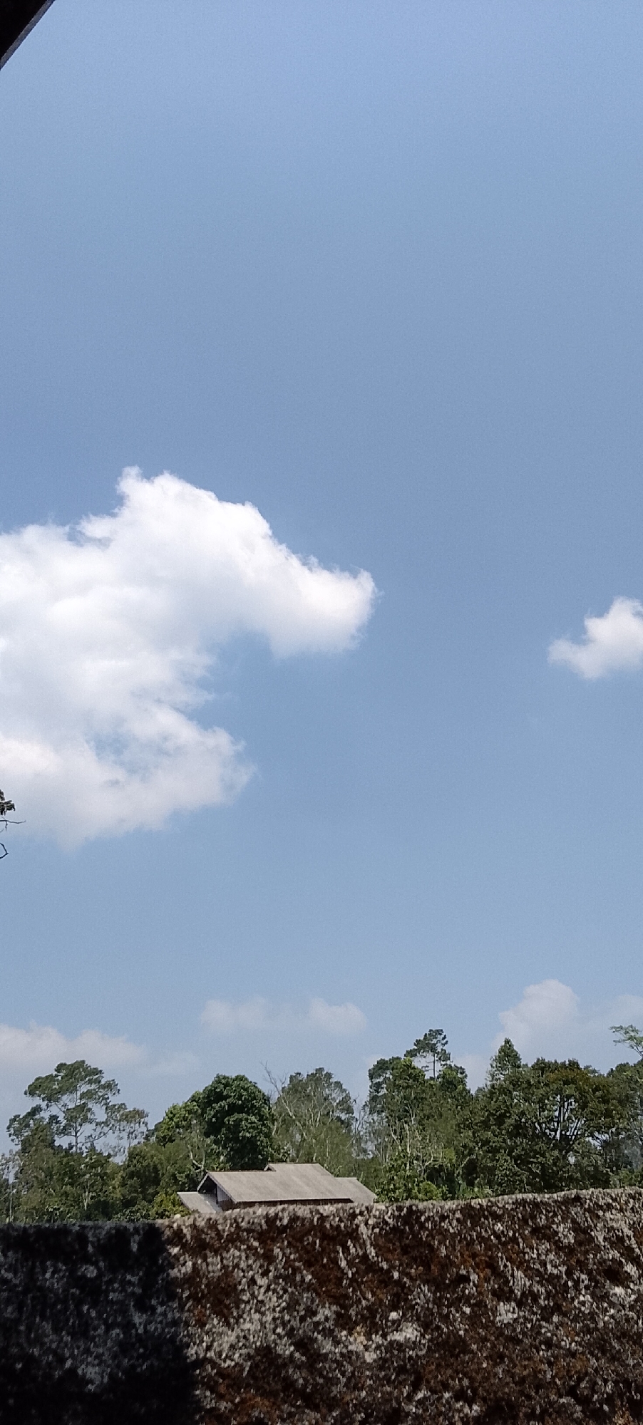 The image captures a clear blue sky with a single, large white cloud positioned in the upper left quadrant. Below the sky, a dense line of green trees forms a horizon, with varying shades and heights indicating a forest or natural landscape. Partially visible through the trees, in the mid-ground, is the roof of a building. The foreground is dominated by a textured, moss-covered wall. The scene appears to be outdoors, suggesting a bright, possibly sunny day. No people or animals are visible. The location is identified as Padang Dalom, Indonesia.