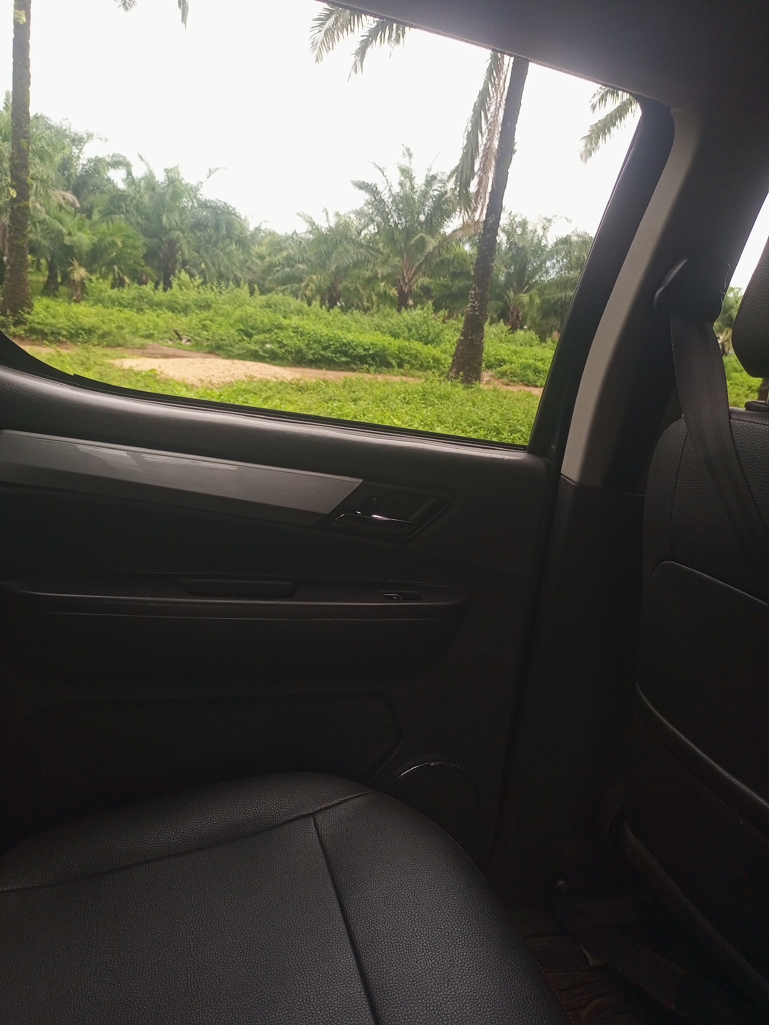 A view from inside a vehicle shows a plantation of palm trees. The interior of the car features black leather seats and door panels. Through the open window, lush green vegetation and tall palm trees are visible under an overcast sky. The ground outside appears to be a dirt road. The location is Serti, Nigeria.