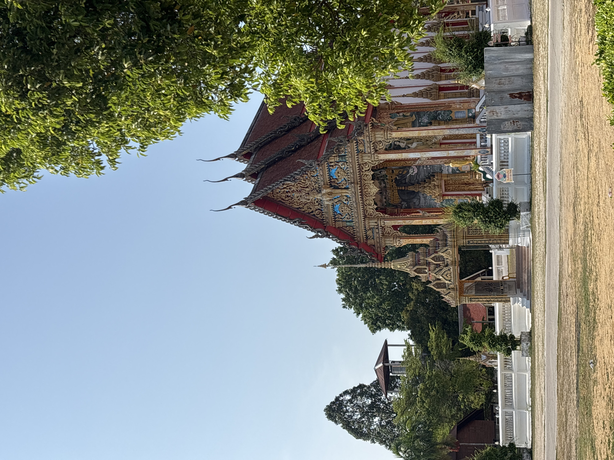 The image, correctly oriented, showcases a vibrant and ornate Thai Buddhist temple (Wat) under a clear blue sky. The main temple building, situated prominently in the mid-ground, features a multi-tiered roof adorned with deep red tiles and intricate golden gables. Rich, golden sculptural details and patterns embellish the eaves and pillars, highlighting traditional Thai artistry. Distinctive "chofa" finials point towards the sky from the roof corners.
A large, dense green tree occupies the upper left portion of the frame, its foliage contrasting with the brilliant blue sky. The sky is bright and cloudless, suggesting a sunny day, likely morning or early afternoon. In the foreground and extending to the right, a dry, light brown grassy field is visible. A light-colored paved path runs horizontally across the mid-right, separating the temple grounds from the field. White fences or balustrades define the perimeter of the temple complex.
In the background and to the right, other structures are visible, including a small building with a dark roof surrounded by trees, and a partially obscured, possibly corrugated metal shed. No people or specific activities are depicted, conveying a serene and tranquil atmosphere. A small, colorful sign stands near the paved path, but its text is too small to be legible. The architectural style and lush surroundings are characteristic of the region, consistent with the location context of Choeng Thale, Thailand.