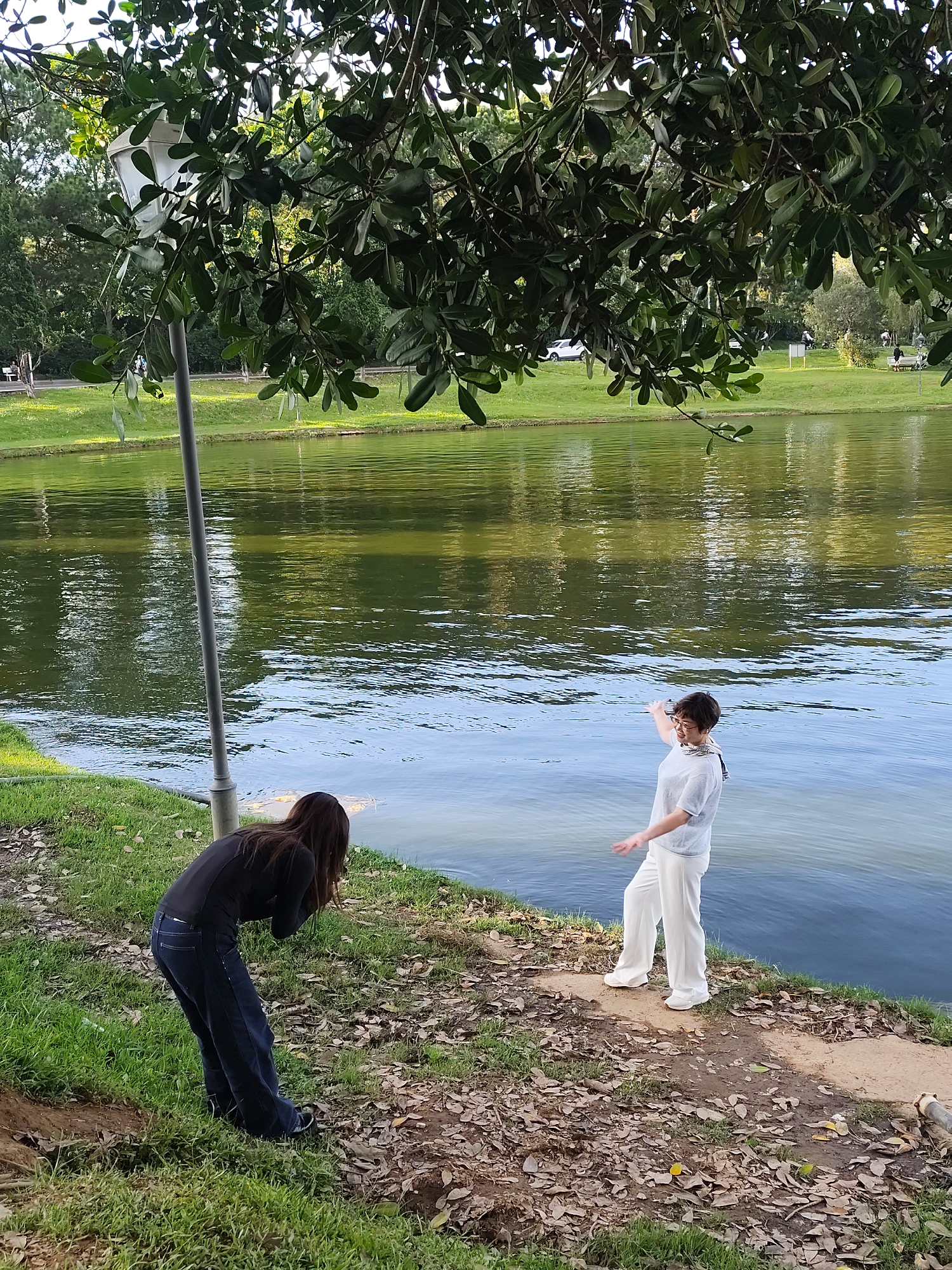 In the city of Da Lat, Vietnam, two individuals are captured in a serene park setting beside a shimmering body of water. The scene unfolds under the dappled shade of lush green foliage, with sunlight reflecting off the water's surface. In the foreground, a person is crouched down, facing away from the camera, engrossed in an activity with their hands. Their dark hair cascades over their shoulders, and they are dressed in a black long-sleeved shirt and dark blue jeans.
To the right, standing near the water's edge, is another person with short hair, facing the first individual. They are wearing a light-colored, possibly white, short-sleeved top and loose-fitting white pants. Their left arm is raised, hand extended, as if gesturing or pointing, while their right arm is bent at the elbow. The ground around them is a mix of green grass and fallen leaves, with a narrow dirt path leading to the water. A tall, grey lamp post stands to the left of the frame, partially obscured by branches and leaves. In the background, a manicured lawn slopes gently upwards, dotted with trees and distant figures, suggesting a public park or recreational area. The overall atmosphere is peaceful and natural.