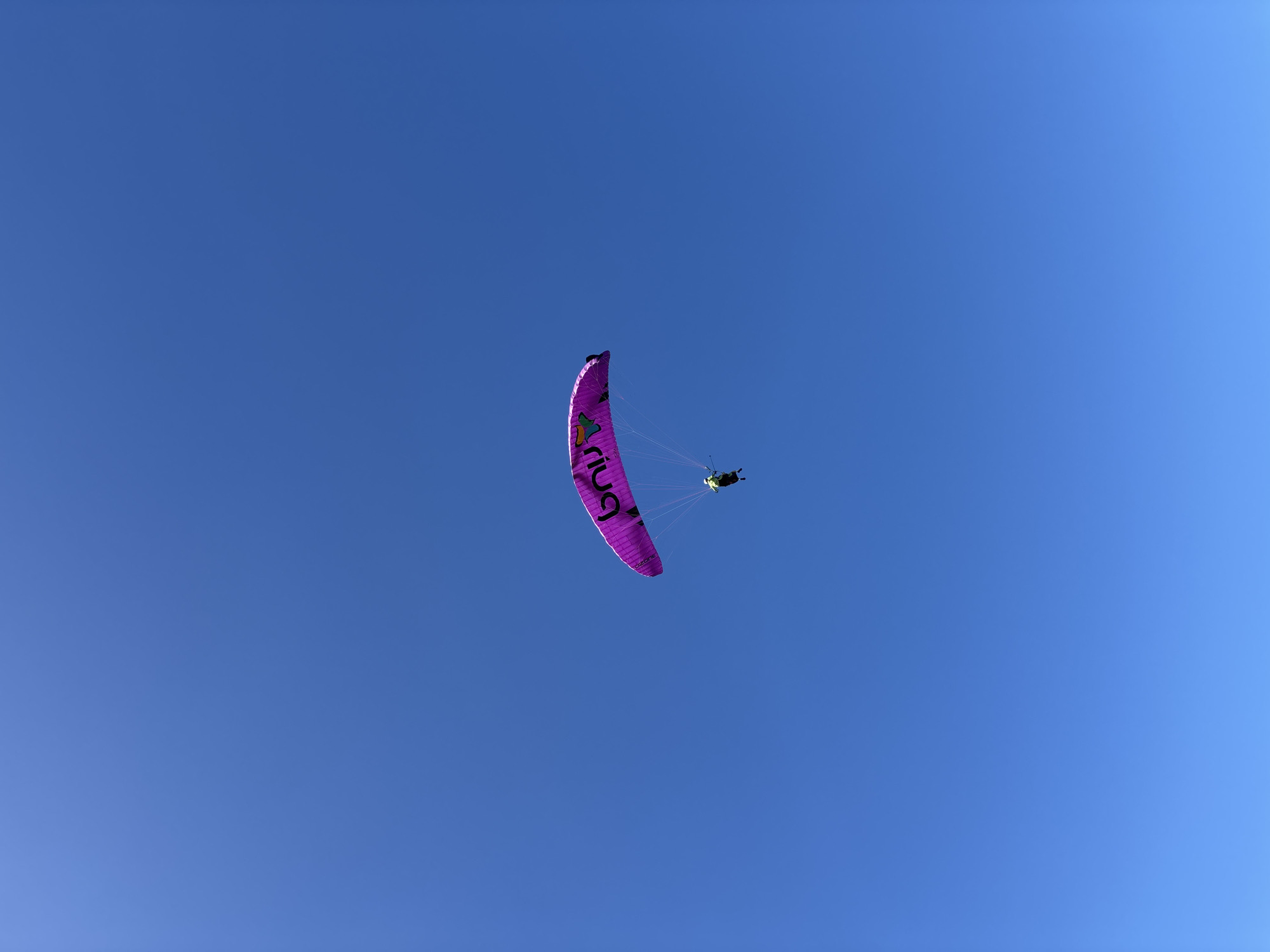 A paraglider soars against a clear, bright blue sky. The paraglider is predominantly purple, with green accents, with what appears to be the brand name or logo "riu" on the underside. A person is suspended below the paraglider, visible at the bottom right of the wing. The setting appears to be outdoors during daylight hours, with no clouds or other visible obstructions in the sky. This image could possibly be taken in Kuta Selatan, Indonesia, given the conditions of blue skies and recreational activities there.