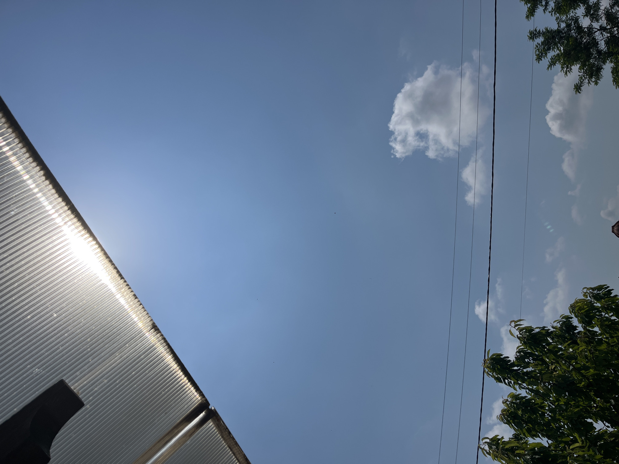 The image presents an upward perspective of a bright blue sky, segmented by elements of an outdoor environment. On the bottom left, a portion of a translucent, corrugated roof or awning is prominently featured, with intense sunlight reflecting off its parallel ridges, causing a distinct lens flare where the sun is directly positioned. A dark, angled support structure or beam is partially visible beneath this roof section.
The sky occupies the majority of the frame, showcasing scattered white cumulus clouds, particularly one distinct cloud in the upper middle and other cloud formations reflected and partially visible on the right. Multiple thin, dark power lines traverse vertically through the right side of the image. Below these lines and extending into the bottom right corner is a vibrant cluster of green tree foliage, indicative of leafy branches.
The scene depicts a sunny day with clear skies. There is no visible text or explicit human activity. The bright lighting suggests it is daytime, likely late morning or early afternoon. The elements—a simple building structure, power lines, and natural tree cover—point to a common outdoor setting, possibly residential or semi-rural, consistent with the given location context of Voyvodino, Bulgaria.