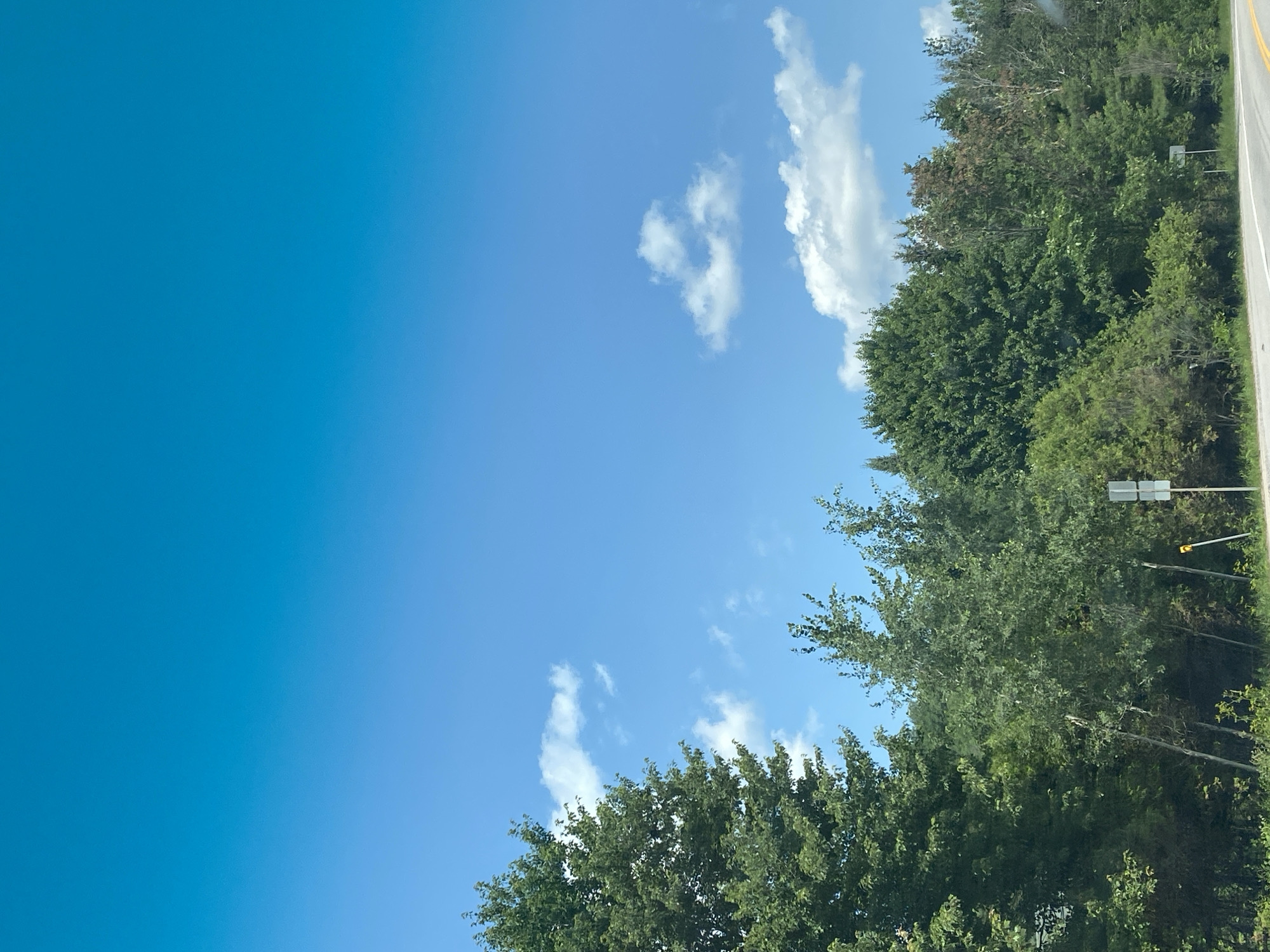The image depicts a roadside scene with a clear blue sky above. The foreground is dominated by a dense line of trees and vegetation, with various shades of green foliage. A paved road curves into the distance on the right side of the frame. Several road signs are visible along the side of the road. In the distance, hills covered in trees are faintly visible. The sky is a vibrant blue with a few scattered white clouds. The overall scene suggests a rural or semi-rural environment, possibly in a forested area. The location is identified as Saint-André-Avellin, Canada.