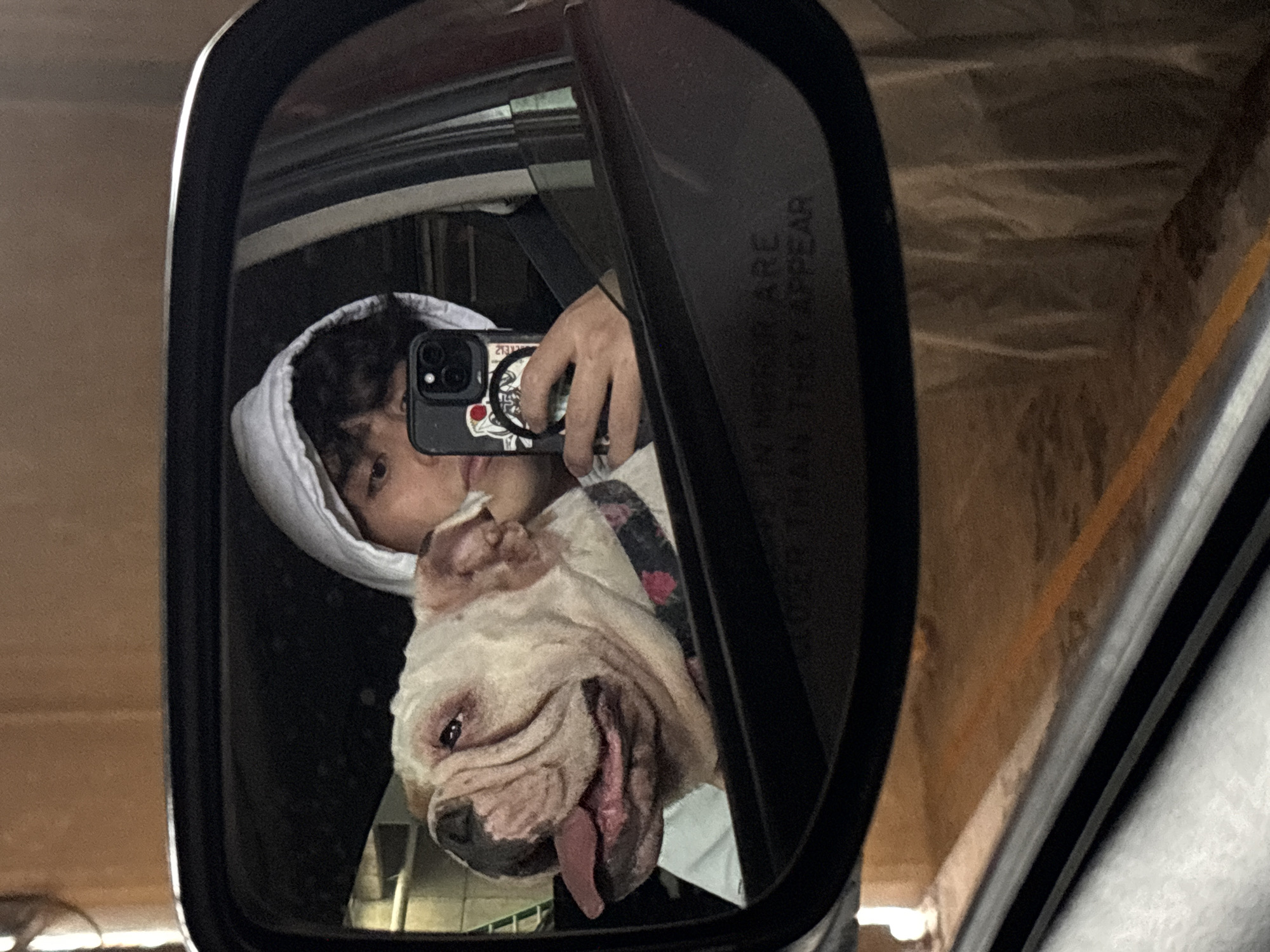 A person wearing a white hooded sweatshirt is reflected in a car's side mirror. The person is holding a smartphone up to take a selfie. Next to the person, an English Bulldog with its tongue hanging out is also visible in the reflection. The dog is wearing a collar with a floral pattern. The reflection shows the interior of the car, including the person's hand holding the phone. The mirror has text on it that reads "OBJECTS IN MIRROR ARE CLOSER THAN THEY APPEAR." The background outside the car appears to be a parking garage with a textured, brown wall and orange lines on the floor.
