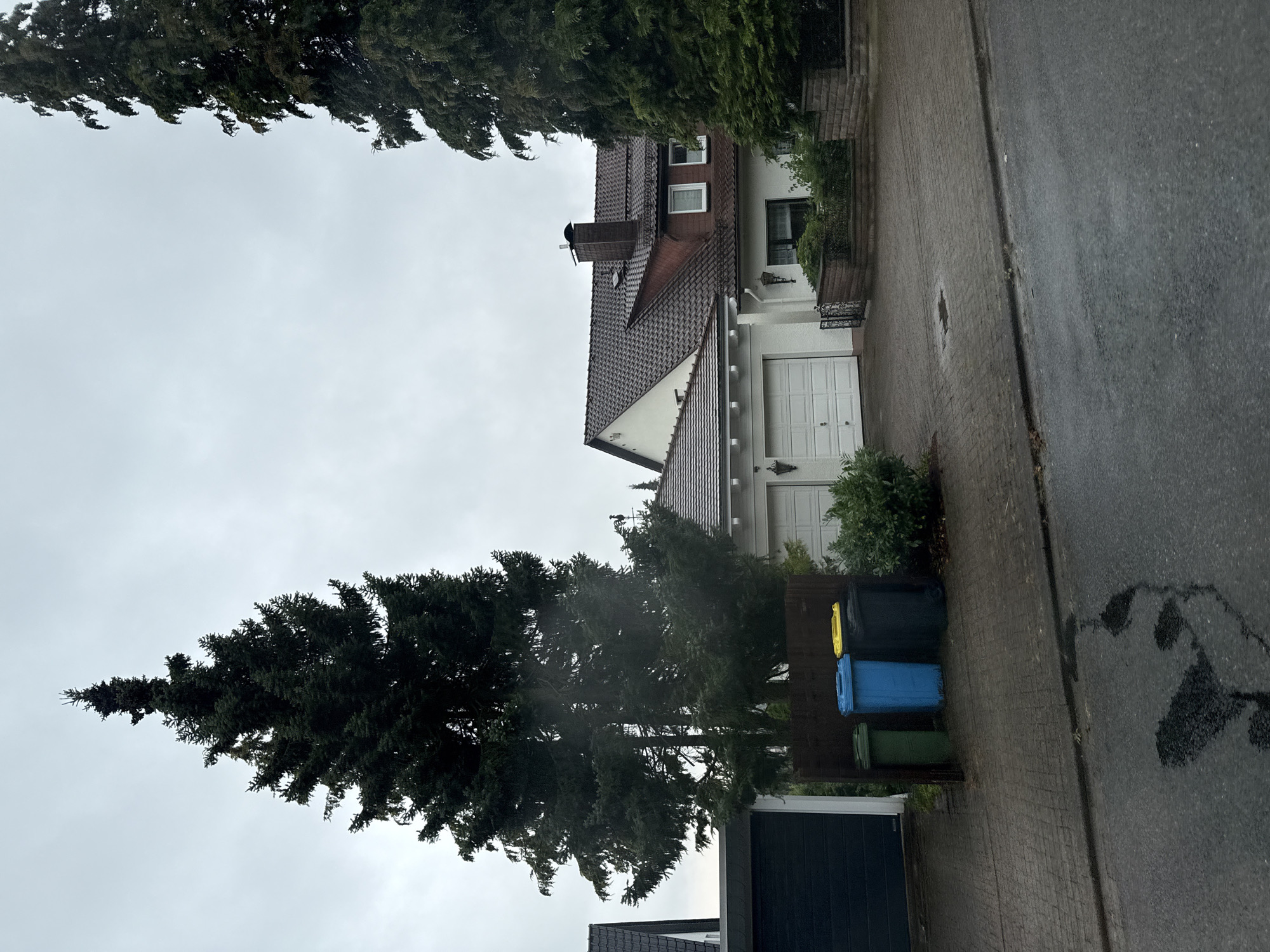 The image depicts a residential street scene in Bad Sachsa, Germany, under an overcast sky. In the foreground, a wet asphalt road shows dark patches of standing water or oil. A paved driveway, constructed from interlocking brick pavers, leads to two houses and a dark garage. Three colorful trash bins – green, blue, and yellow – are positioned on the paved area near the garage.
Dominating the left side of the image is a very tall, dark green coniferous tree, its dense foliage reaching towards the sky. Another similar, but thinner, coniferous tree is visible on the far right.
The house on the left features a dark, wide garage door. The house on the right is a multi-level structure with a dark tiled roof, a prominent brick chimney, and several windows. A section of the house appears to be a lighter color, possibly white or cream. A white garage door, with horizontal paneling, is visible on the right side of the driveway. Decorative fencing and low-lying green bushes surround parts of the property. The overall impression is a quiet, suburban environment, possibly on a damp or rainy day.