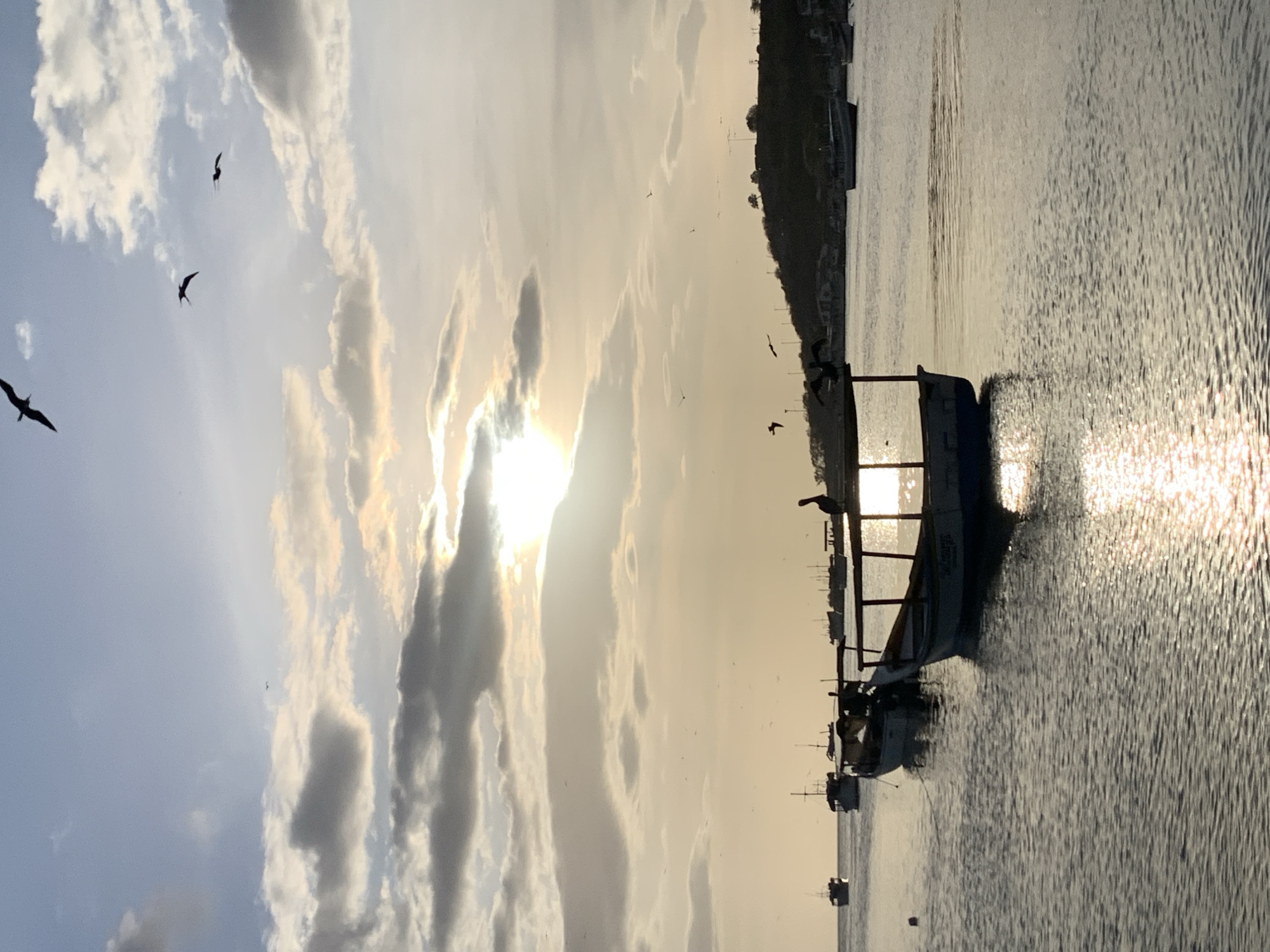 This is a vertical, eye-level, medium shot of boats in the water at Juan Griego, Venezuela, during sunset. The sky is a pale blue with scattered clouds that are tinged with yellow and orange from the setting sun. The sun itself is a bright white orb partially obscured by clouds, creating a strong glare on the water. Several boats are visible, with one in the foreground in silhouette, featuring a wooden frame and a covered roof. Another boat is moored behind it, also in silhouette, and further out in the water, several more boats of varying sizes are scattered across the scene. A hill covered in trees and some buildings forms the background. Numerous birds are flying in the sky and perched on the boats, including what appears to be a pelican on the boat in the foreground. The water is calm with ripples and reflects the sunlight, creating a shimmering effect. The overall mood is serene and tranquil.