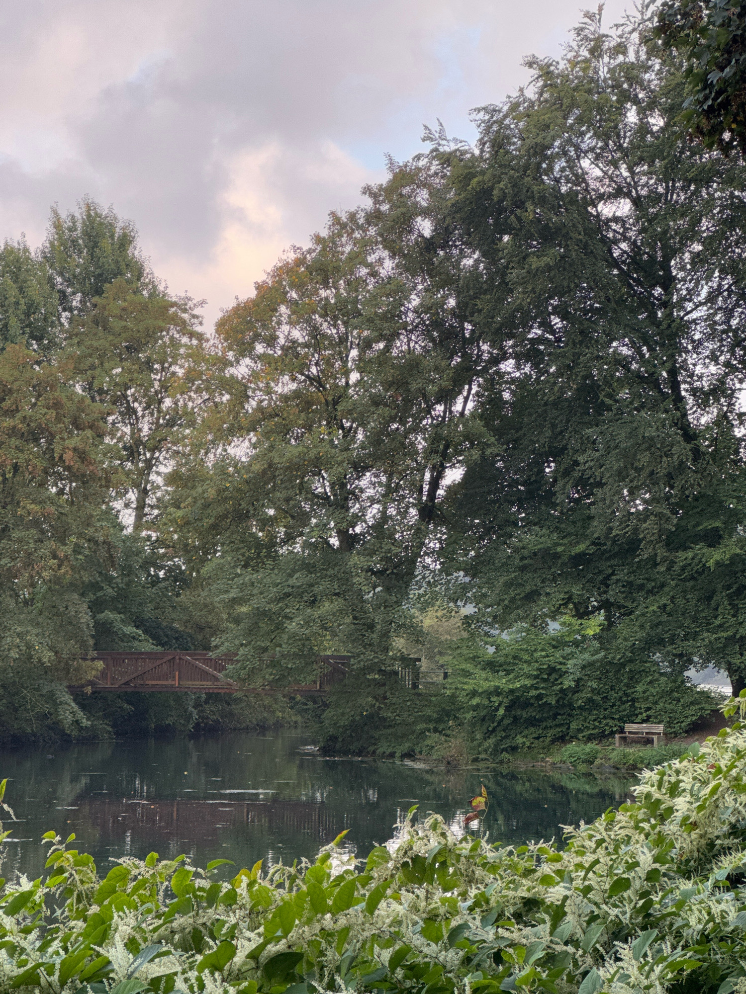 The image depicts a serene natural scene in the city of Cleves, Germany. In the foreground, lush green foliage with white flowering clusters dominates the lower portion of the frame, suggesting a park or riverside setting. A calm body of water, likely a canal or river, stretches across the middle ground, reflecting the surrounding trees and a wooden pedestrian bridge. The bridge, constructed from dark wood, spans the water, connecting the banks of the waterway.
The background is densely populated with a variety of mature trees, their leaves a mix of greens, with some showing hints of autumnal color. These trees create a natural canopy, with their branches extending upwards towards a cloudy sky. The sky itself is overcast, with soft, diffused light, indicating a possibly morning or late afternoon scene.
On the right bank of the water, near the bridge, a simple wooden park bench is visible, suggesting a place for quiet contemplation or rest amidst nature. No people are present in the scene. The overall impression is one of peaceful natural beauty, likely a public park or recreational area within the city. The presence of the bridge and bench indicates human infrastructure integrated into the natural environment.