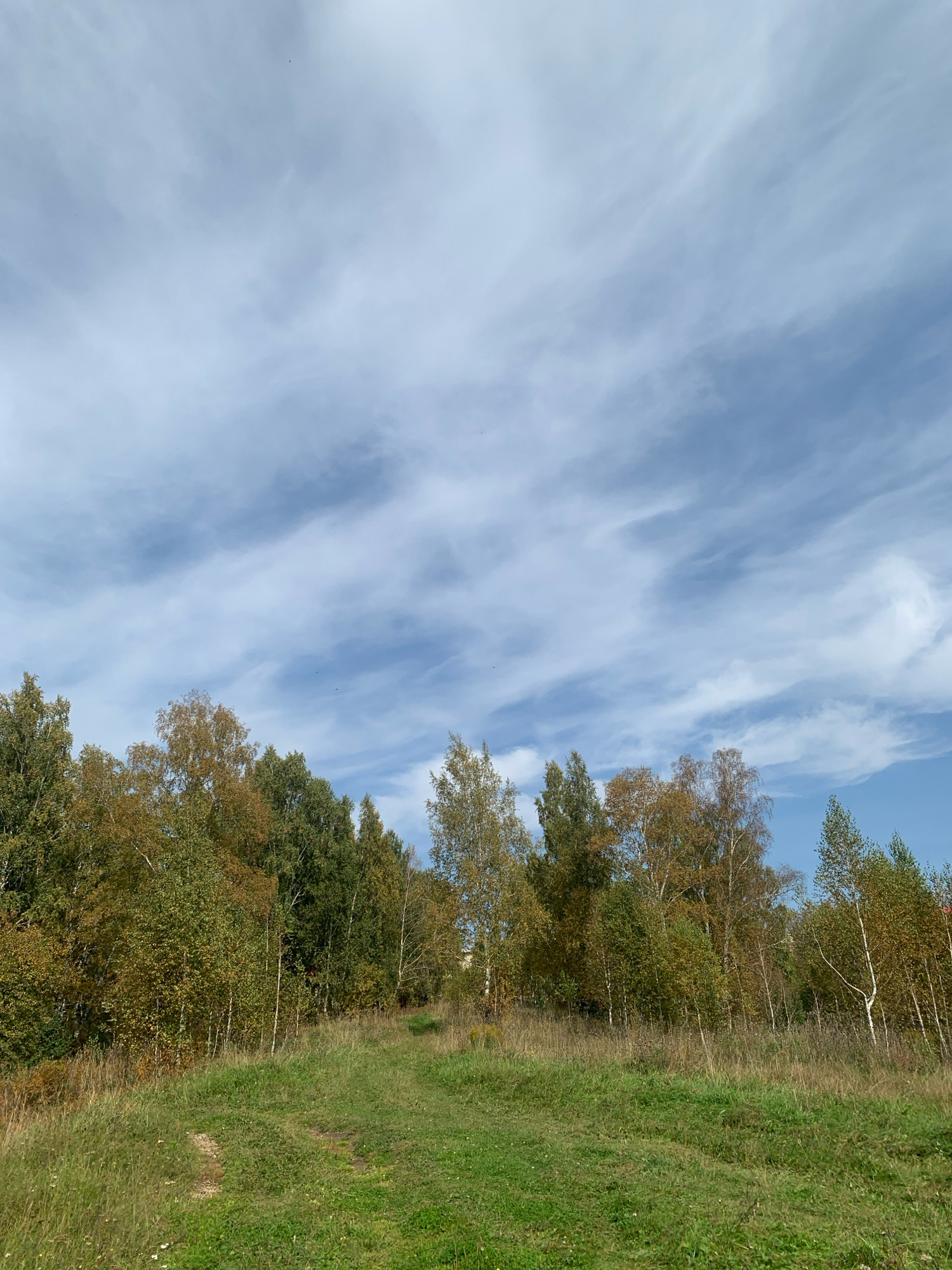 The image shows a natural landscape with a dirt path winding through a grassy field, leading towards a dense line of trees. The trees exhibit autumn foliage, with a mix of green, yellow, and brown leaves. The sky above is a pale blue, streaked with wispy white clouds. The overall scene suggests a rural or park-like setting. Without additional context or visual cues, it is impossible to determine if this specific location is within the city of Prokopyevsk, Russia.