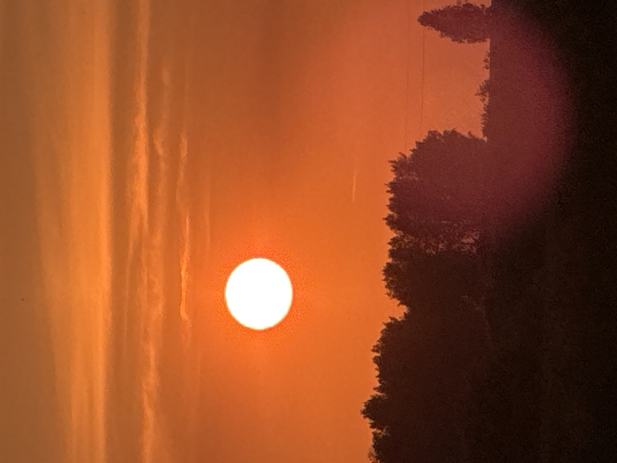 The image shows a sunset over a tree line in the city of Бигила, Russia. The sun is a large, bright orange orb low in the sky, casting a warm glow across the scene. The sky is a gradient of orange and yellow, with wispy clouds. The foreground is dominated by the dark silhouettes of trees, forming a dense band across the bottom of the frame. The overall impression is one of peaceful, natural beauty.
