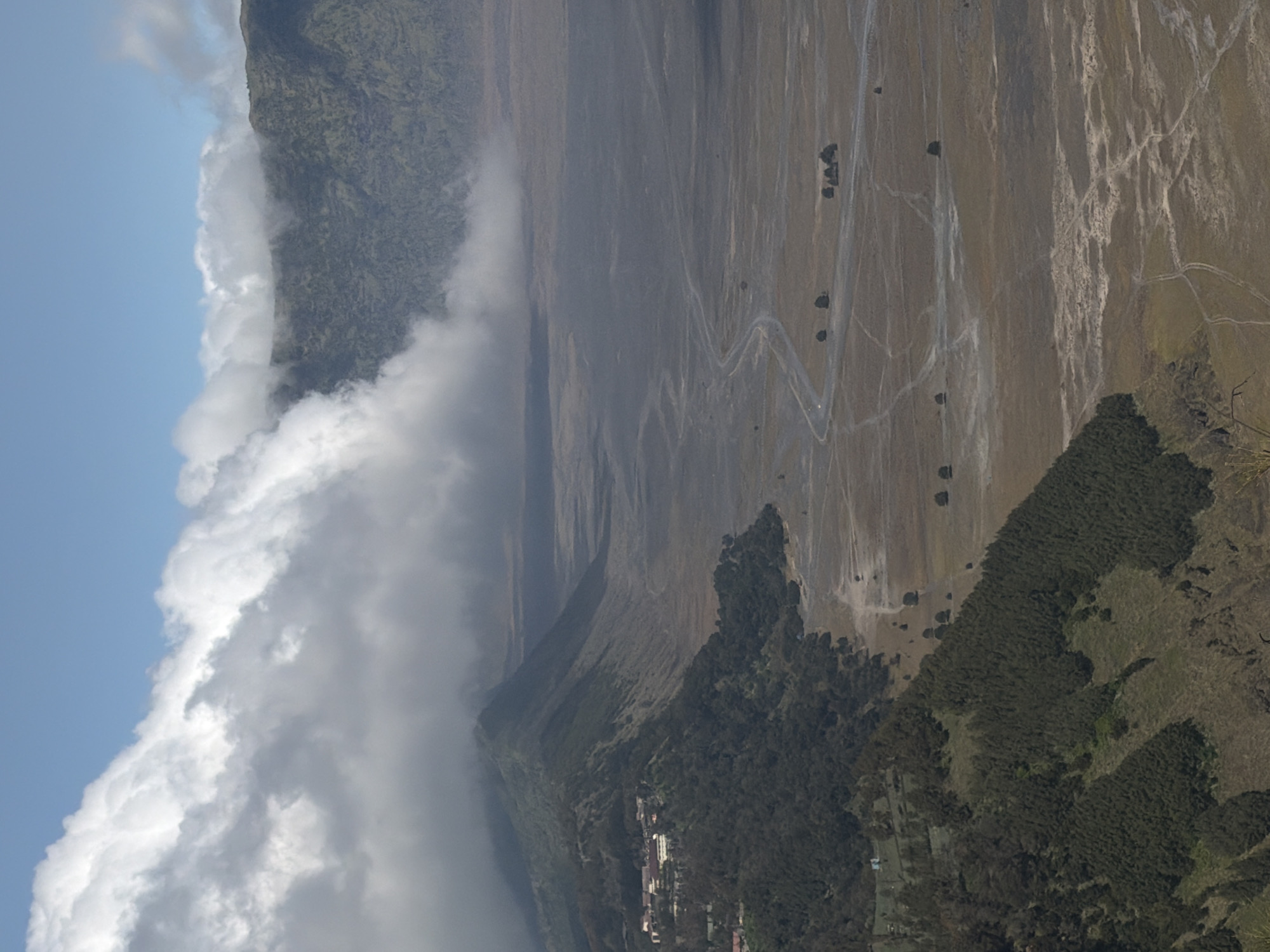 A high-angle, wide shot captures a vast, arid plain stretching towards a range of mountains, with a thick band of white clouds obscuring the tops of the peaks and the sky above. The landscape is predominantly brown and grey, with scattered patches of dry vegetation and a winding dirt road leading into the distance.
To the left of the image, a steep, tree-covered hillside slopes down towards the plain. At the crest of this hill, a cluster of buildings, possibly a village or resort, is visible, nestled among the trees. The trees are dense and dark green, creating a stark contrast with the barrenness of the plain. The hillside itself is uneven, with shadowed ravines and lighter-colored patches of grass or scrub.
In the mid-ground, the plain is textured with subtle patterns of erosion and dry riverbeds. A few isolated trees dot the landscape, their dark forms standing out against the pale earth. The winding dirt road is a prominent feature, snaking across the plain and leading towards the mountains.
The clouds are a dominant element in the upper portion of the image, their thick, billowy forms creating a dramatic contrast with the clear blue sky that peeks through in some areas. The clouds appear to be hanging low over the mountain range, suggesting a misty or foggy atmosphere in that region. The overall impression is one of a rugged and remote natural landscape, potentially a volcanic caldera or a similar geological formation. The presence of the buildings suggests human habitation or tourism in this otherwise wild environment, likely near the village of Cemorolawang in Indonesia, known for its proximity to the Bromo Tengger Semeru National Park.