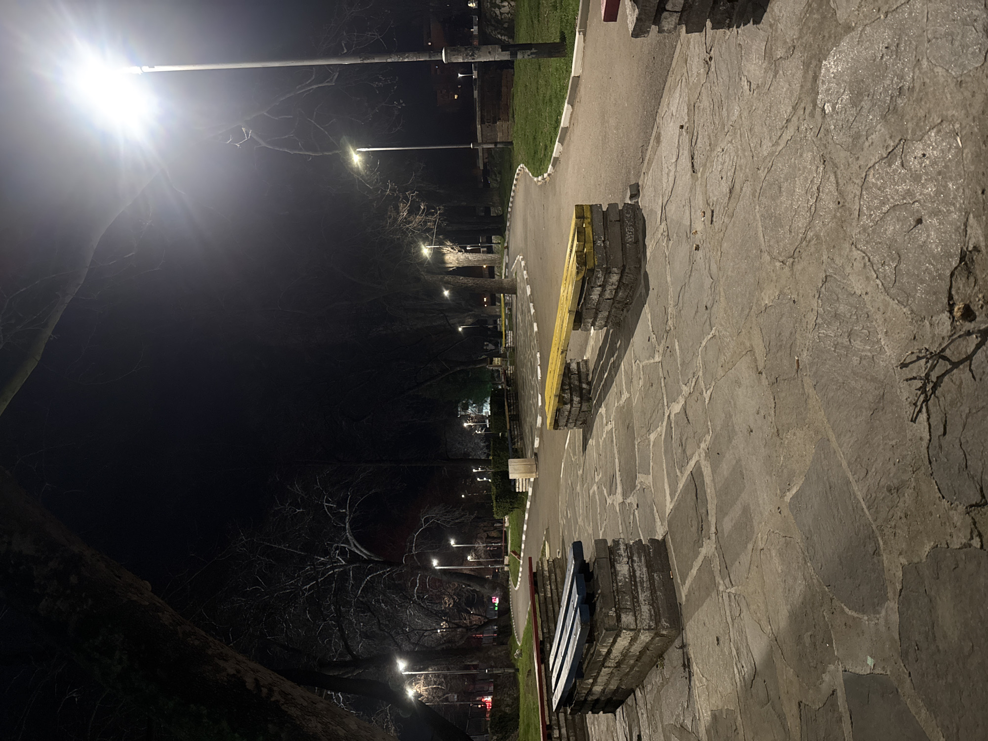 The image depicts a park at night in Asenovgrad, Bulgaria. The perspective is low, looking along a stone-paved path flanked by benches. One bench is painted yellow and another is painted blue. Streetlights illuminate the park, their brightness causing lens flare. The park contains trees with bare branches, some grass, and paved walkways. No people are visible. Buildings are seen in the distance. The environment is dark with illuminated areas.