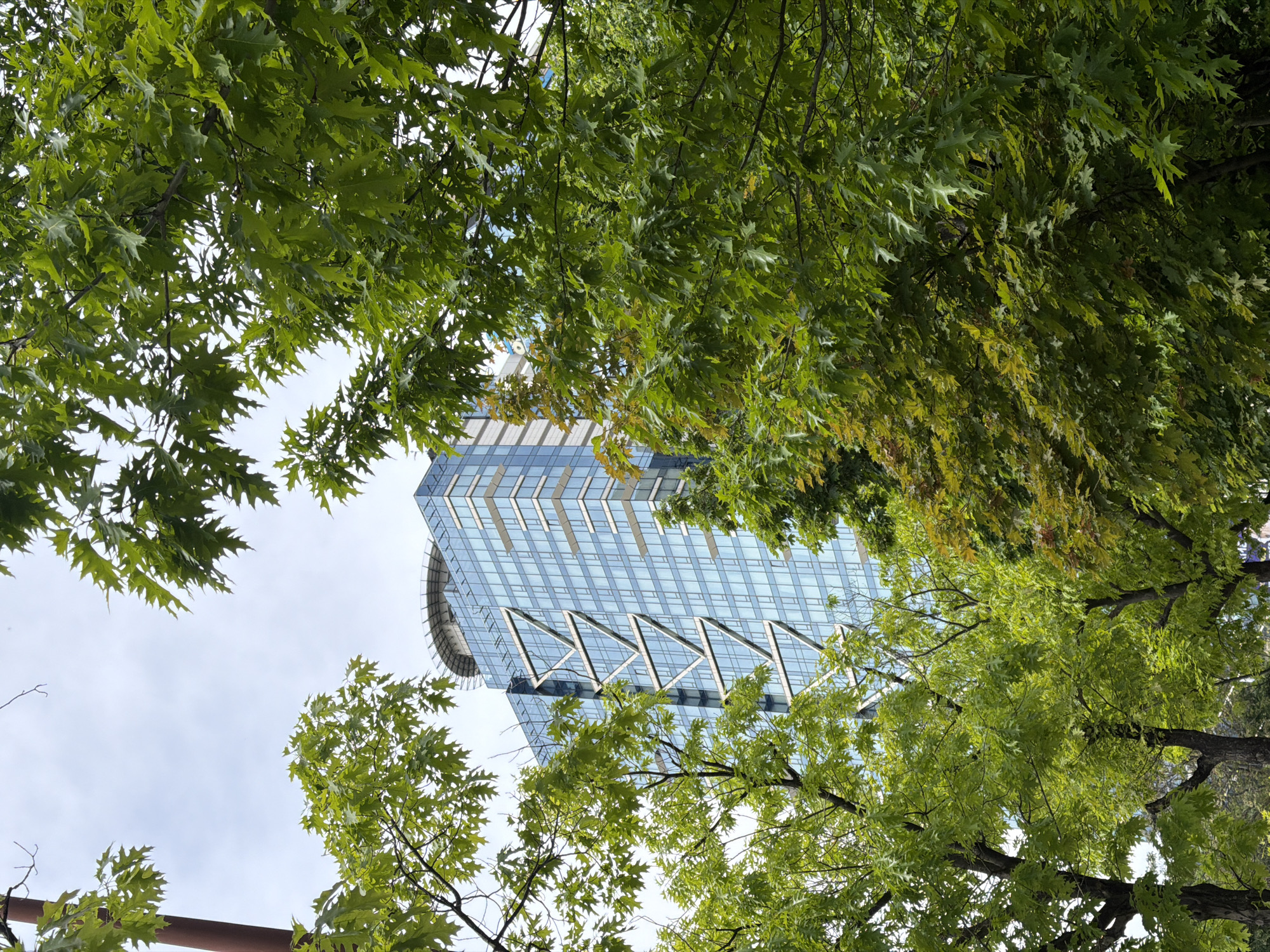 The image shows a view from below of a modern skyscraper, partially obscured by tree branches with green leaves. The building has a predominantly glass facade with visible structural supports in a triangular pattern. It also has a helipad. The sky is visible in the spaces between the leaves and building, appearing pale with light cloud cover. The trees surround the building, framing the shot. This building is located in Sofia, Bulgaria, and is likely part of the skyline or business district.