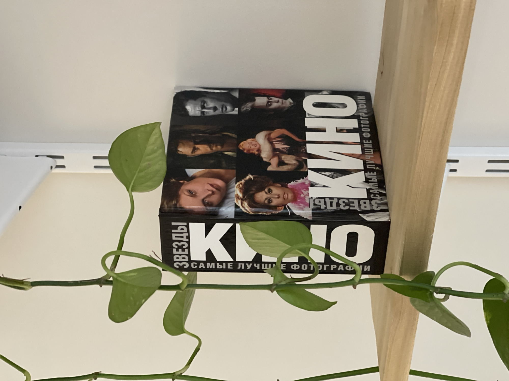 A book is seen on a shelf next to a wooden support. The book cover features photographs of actors. Green leaves of a plant trail across the front of the book. The text on the book reads "Kino, Zvezdy, Samye Luchshye Fotografii." The book is not located in the city of Izhevsk, Russia, since no details in the scene suggest a location.