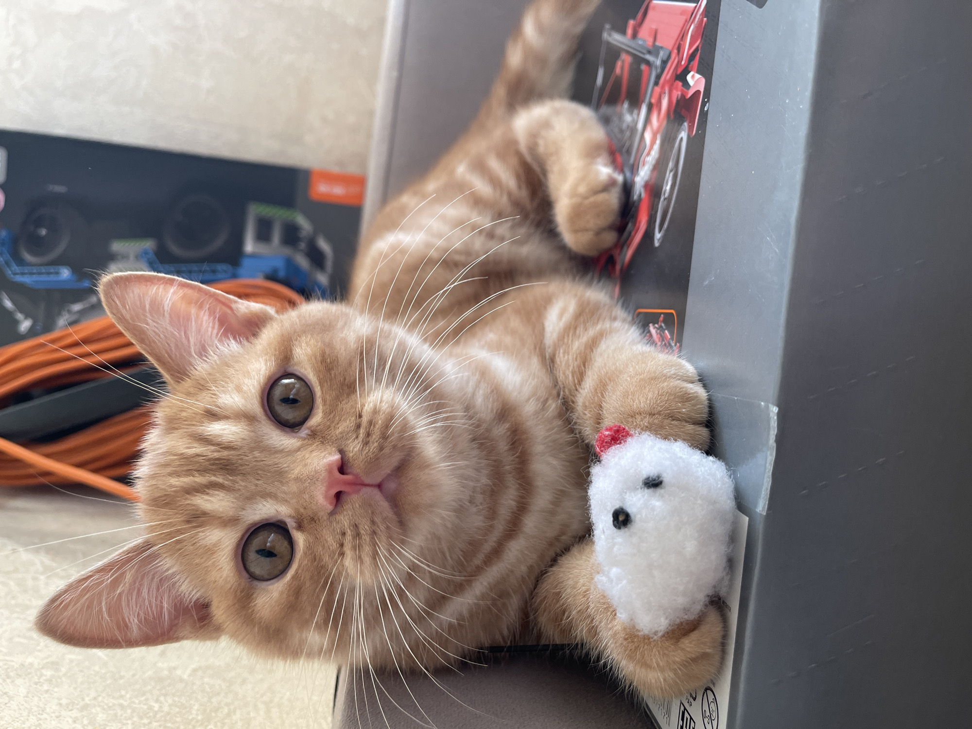 An orange tabby kitten with brown eyes and white whiskers lies on a gray surface, holding a small white toy mouse with black eyes and a red bow in its paws. The kitten is looking directly at the camera. In the background, an orange electrical cord is coiled and visible. There is also a partially obscured black and blue box with images of mechanical parts. The scene appears to be indoors, likely a domestic setting in the city of Kommunarka, Russia.