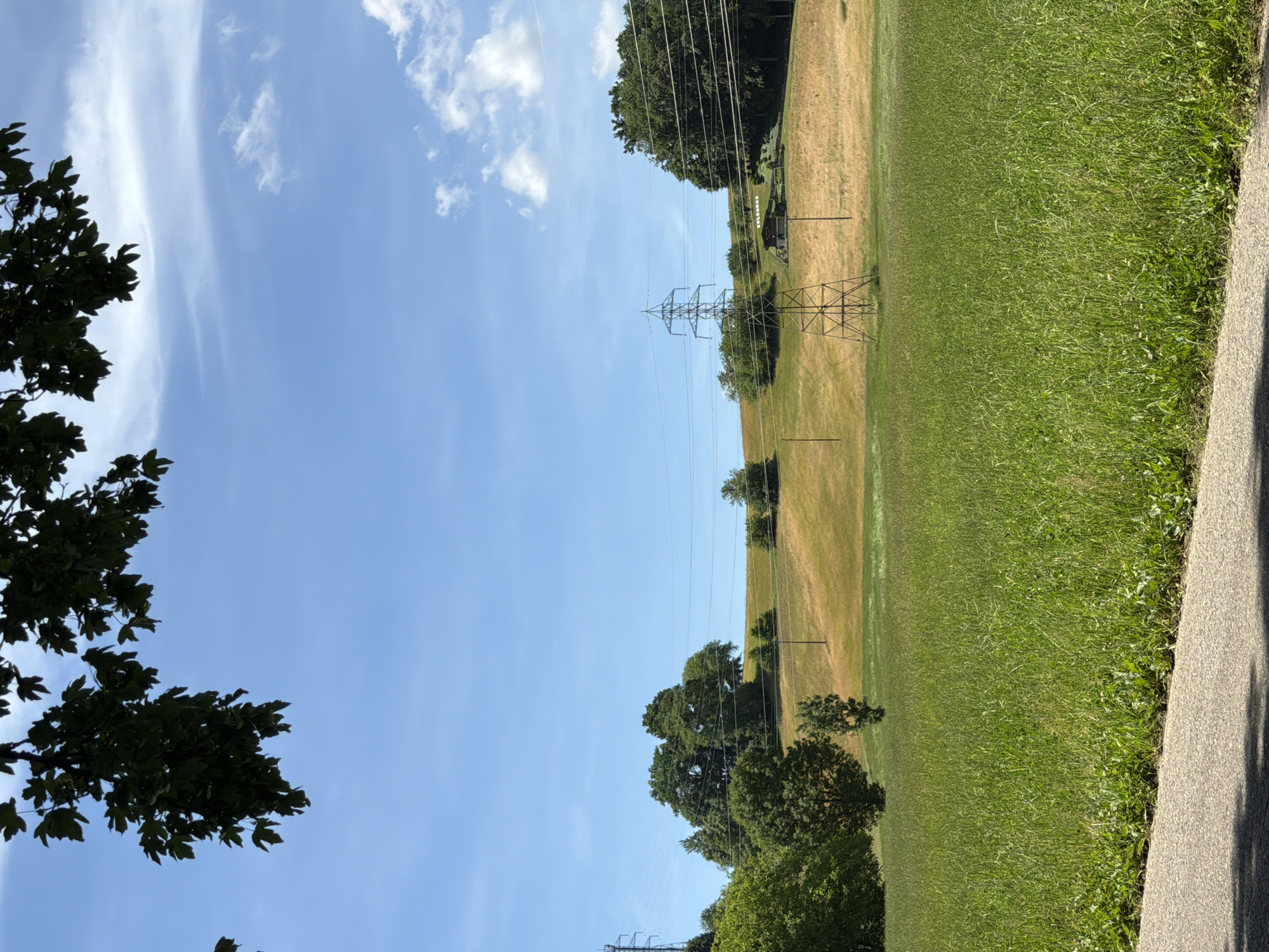 The image depicts a rural landscape under a clear blue sky with scattered white clouds. In the foreground, a patch of tall green grass lines the edge of a grey asphalt path. The middle ground is dominated by rolling hills covered in a mixture of green and golden-brown grasses, suggesting a dry summer season. Several trees, both lush green and sparser in foliage, are scattered across the hills. Prominent in the middle distance are two large electricity pylons supporting power lines that stretch across the landscape. Further back, a small dark-roofed building is visible on a hillside, with the word "OHLENHAS" inscribed in white letters above it. In the upper portion of the image, dark green tree branches with leaves hang down, framing the sky. The overall scene is one of a serene countryside, marked by the presence of agricultural fields and electrical infrastructure.