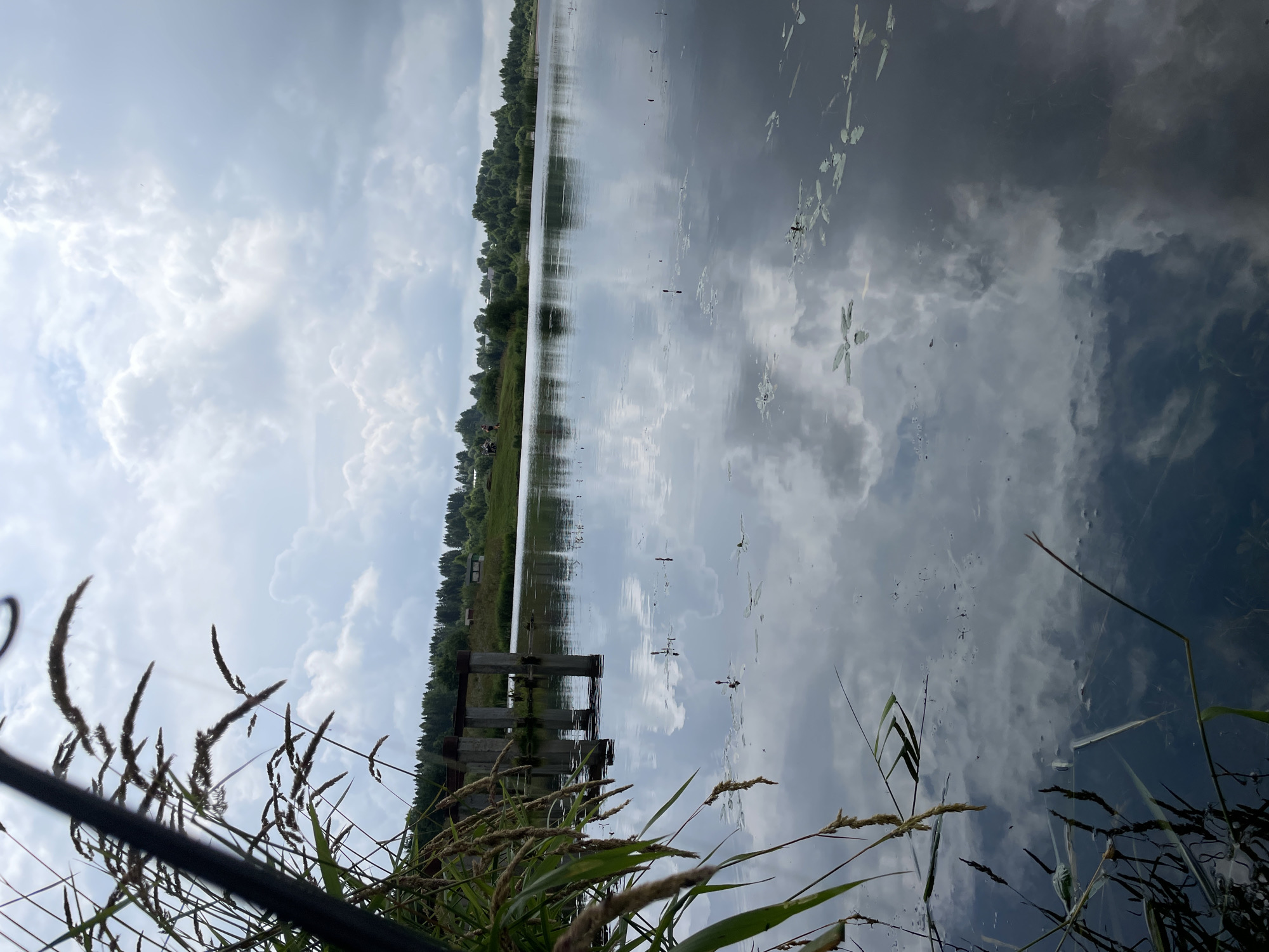 The image depicts a reflective body of water, likely a river or lake, with the sky and surrounding landscape mirrored on its surface. In the foreground, tall grass and reeds are partially visible on the left side, some of which are in focus, while others are blurred. In the middle ground, on the far bank of the water, a dense line of trees forms a treeline. Partially submerged structures, possibly remnants of a bridge or pier with concrete pillars, are visible in the water to the left of the center. The sky is overcast with dramatic, cloudy formations. The overall impression is a serene, natural landscape with hints of man-made structures. The location is identified as Kumeny, Russia.