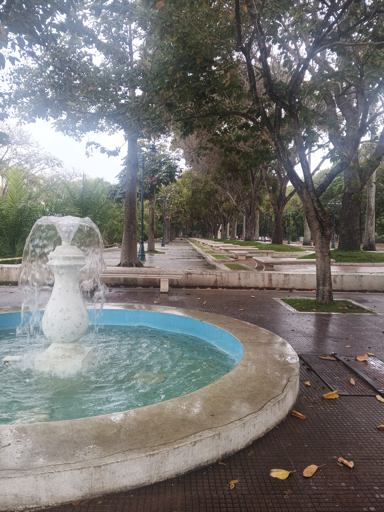 The image depicts a park scene featuring a circular fountain in the foreground with water flowing. The fountain has a light blue interior and a concrete exterior. Behind the fountain, a pathway extends into the distance, lined with trees and benches. The trees are mature and provide a canopy over the walkway. The ground is covered with a patterned pavement, with fallen leaves scattered around. The overall impression is that of a tranquil public space. The location is Unknown, Unknown. There are no people in the image.