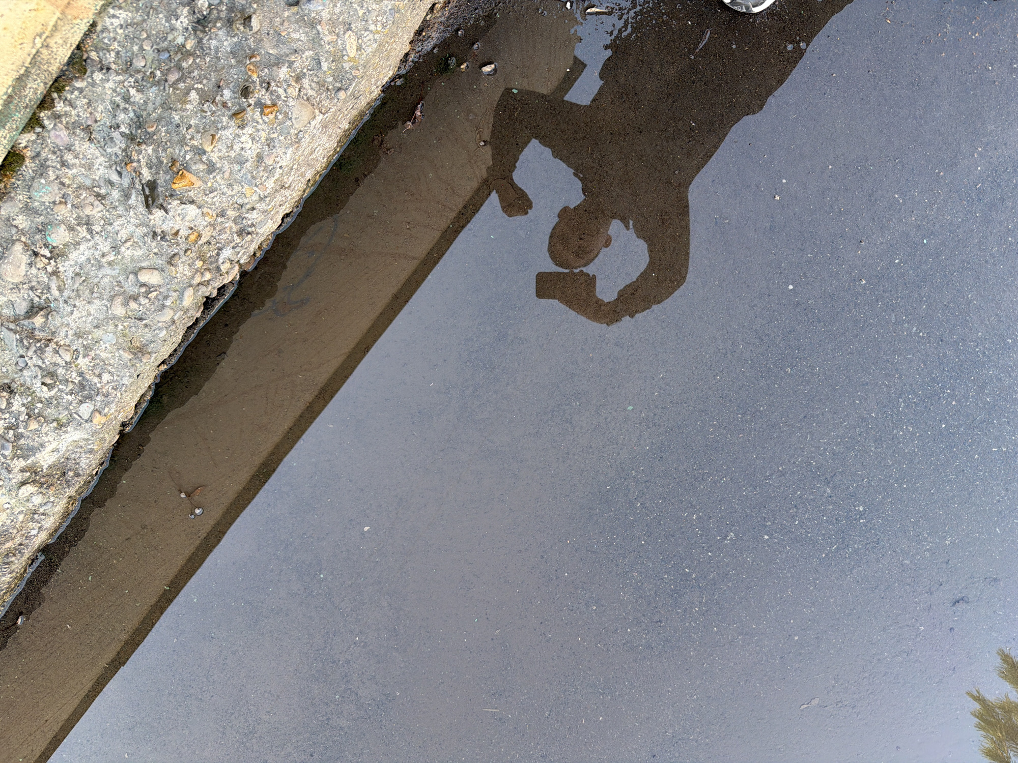 A shadow of a person taking a selfie is reflected in a puddle on the asphalt pavement. The puddle is next to a concrete curb. The location is assumed to be Izhevsk, Russia.
