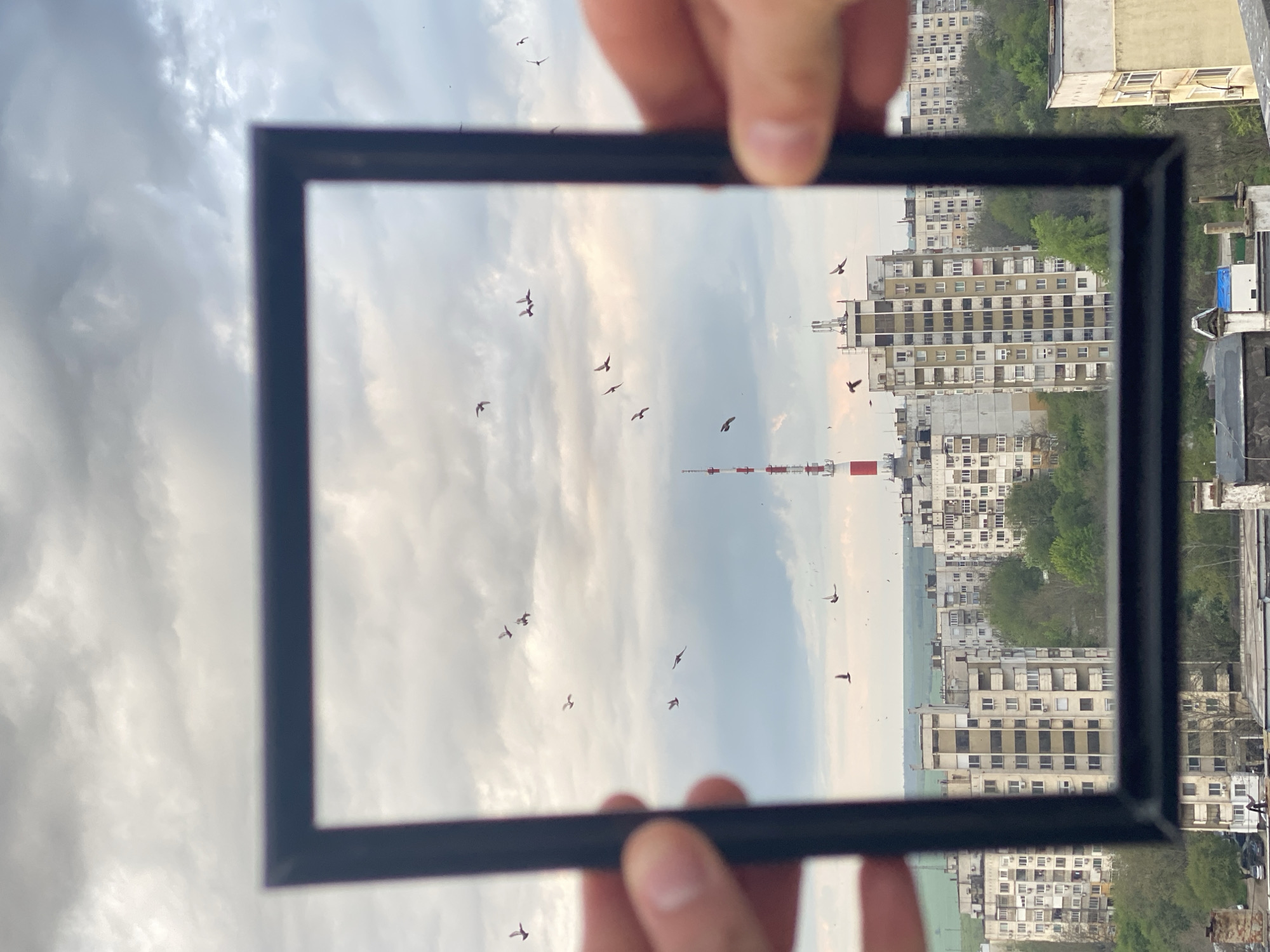 A photograph shows a view through a black rectangular frame held by two hands. The frame contains a view of a cloudy sky with many birds in flight, an area of low-lying land, and a tall red and white chimney. Outside of the frame, a residential cityscape is visible, with multiple apartment buildings with windows, trees, and a balcony with various objects. The frame seems to be held in Pleven, Bulgaria, as the TV tower is visible in the frame.