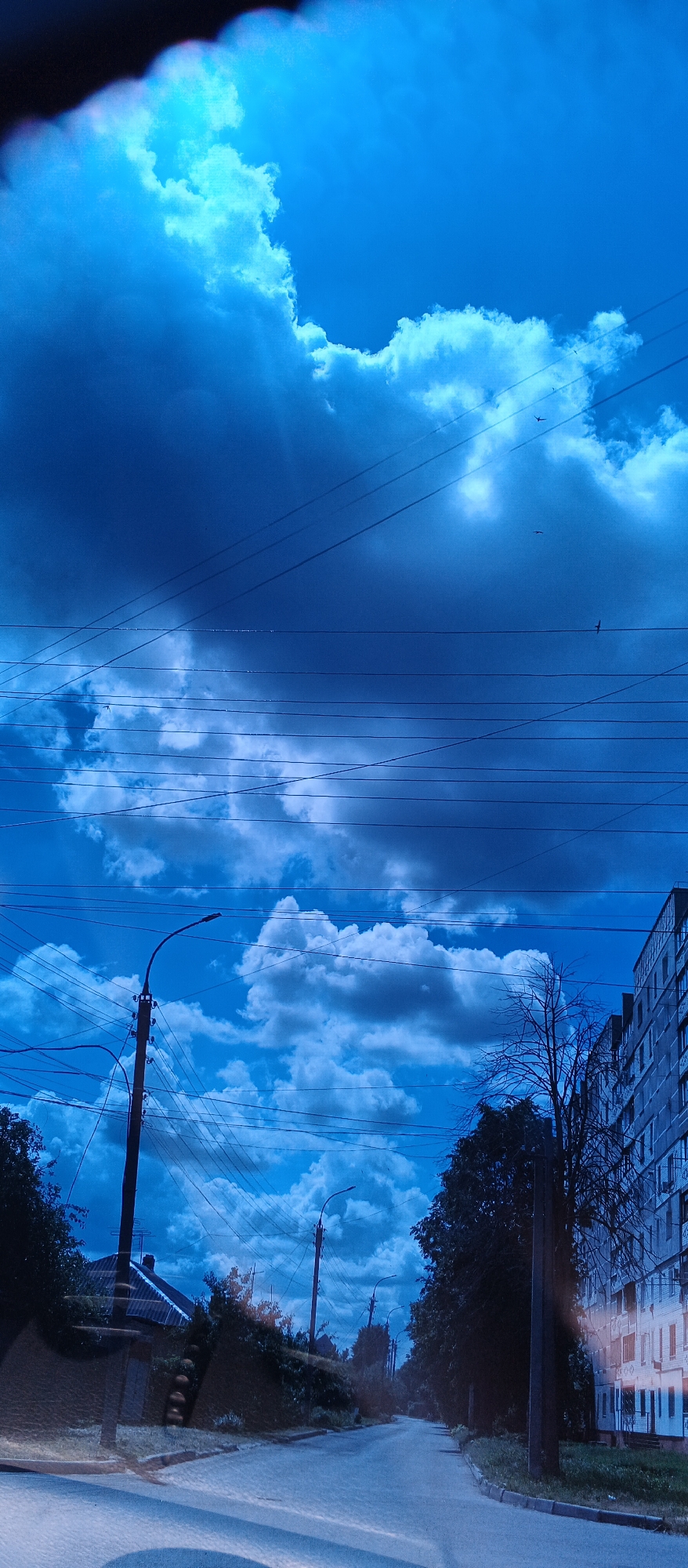 This is a vertical, full-frame photograph taken from a vehicle looking out through the windshield or a similar window. The scene depicts a street in Smila, Ukraine, with a strong blue cast, suggesting it may have been taken during twilight or with a polarizing filter, or that the image has been digitally altered to emphasize the blue hue. The sky is a dominant feature, filled with dramatic, dark blue and lighter blue clouds. Numerous power lines crisscross the sky, some appearing taut and others slack. A lamppost with multiple wires extends upwards on the left side of the frame. Further down the street, another lamppost is visible. On the right side, a multi-story apartment building with many windows lines the street. Trees and foliage are present along the street and surrounding the buildings. A small house with a pitched roof is visible on the left, partially obscured by the lamppost and vegetation. The road surface appears to be asphalt or pavement. A few small, dark shapes, possibly birds, are discernible against the sky. The overall impression is one of an urban or suburban street scene under a cloudy, intensely blue sky.