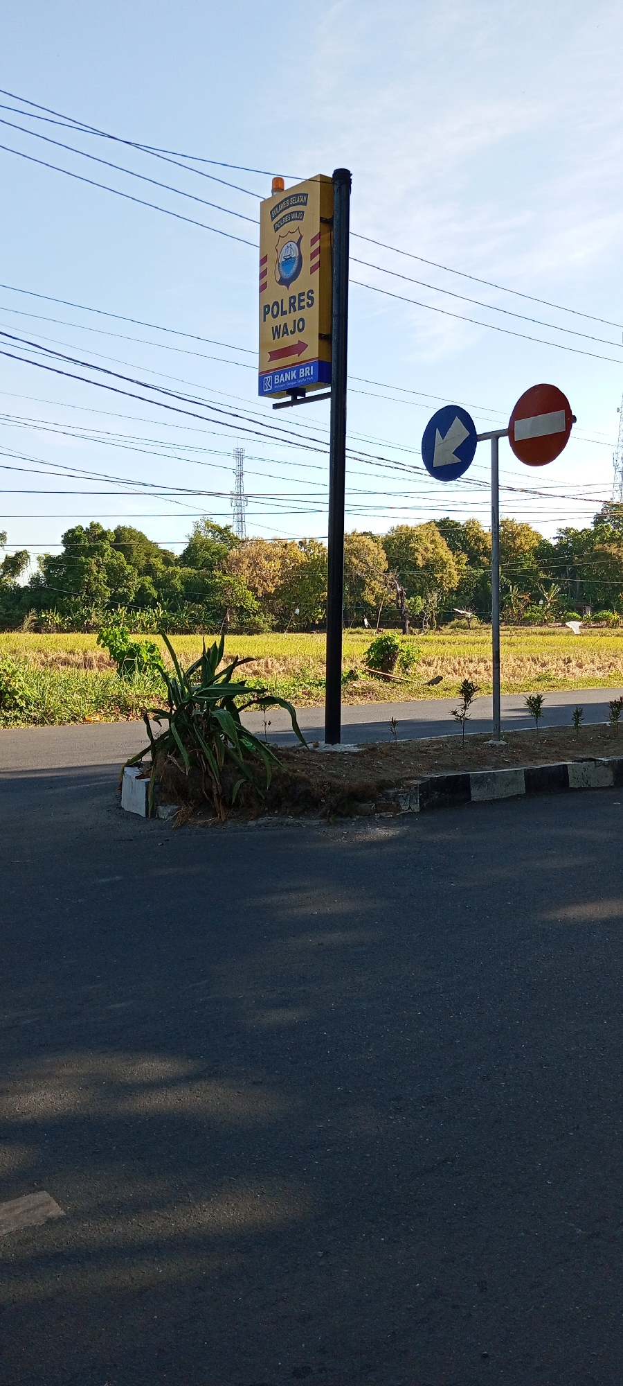 The image depicts a street scene in Bulupabbulu, Indonesia, on a clear day with blue skies. A prominent yellow signpost stands on the right side of the road, featuring text and logos that indicate it is for "POLRES WAJO" (Wajo Police) and "SULAWESI SELATAN" (South Sulawesi). A blue Bank BRI logo is visible at the bottom of the signpost. To the right of the signpost, a circular blue traffic sign with a white arrow pointing left is mounted on a pole, accompanied by a circular red and white prohibition sign. In the background, a field of golden crops, possibly rice, stretches towards a line of green trees. A tall transmission tower is visible in the distance. In the foreground, the asphalt road occupies the lower portion of the image. To the left of the signpost, a patch of dry earth is covered with dark, dried vegetation and a small, leafy green plant is growing from it. Electrical wires are strung across the sky, supported by poles.