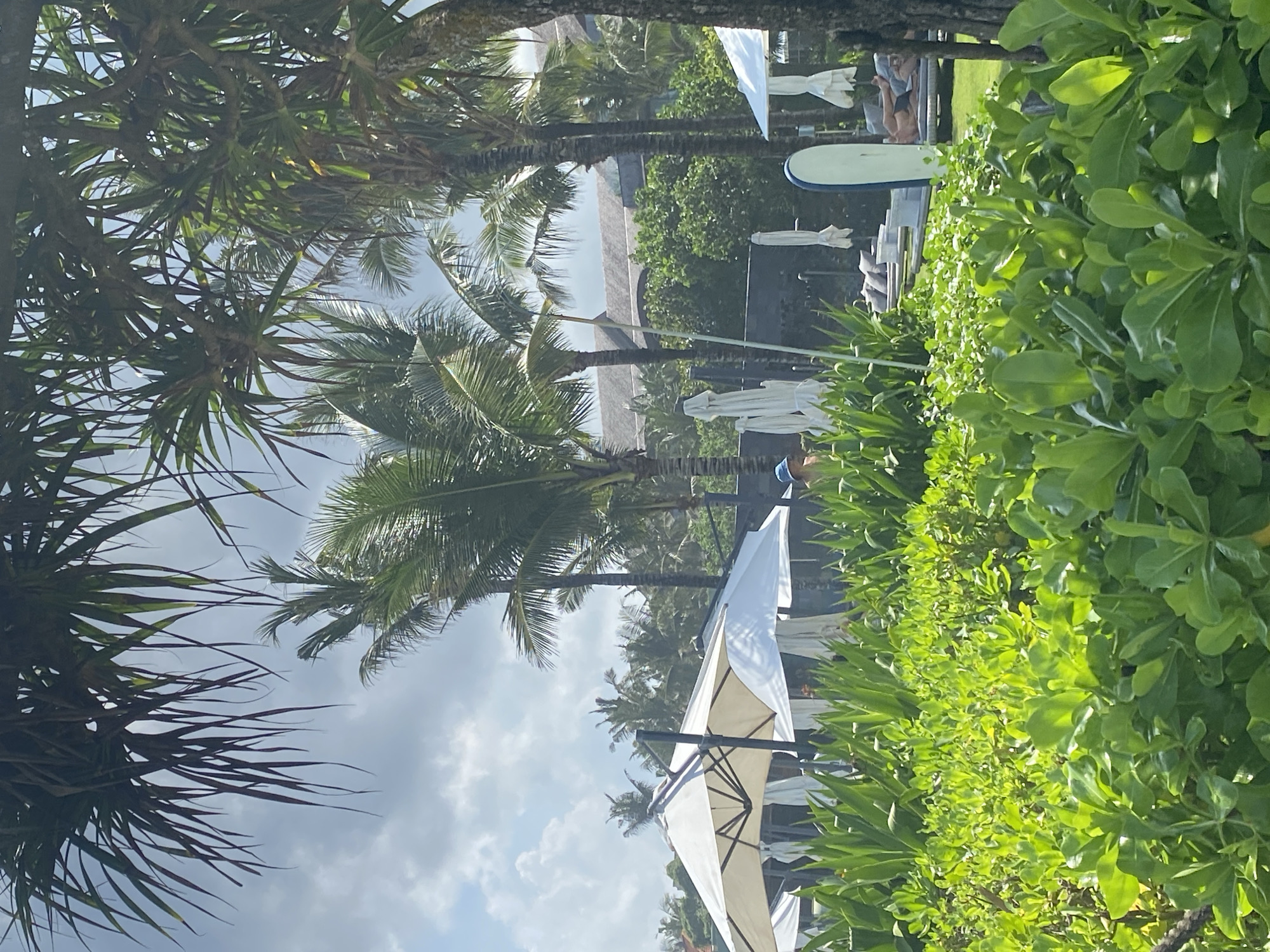 The scene is at a resort in North Kuta, Indonesia. From right to left, a long patch of dense, green bushes takes up the foreground. White umbrellas are adjacent to the bushes, with a few loungers behind the umbrellas. Beyond the lounge area is a stretch of palm trees and other tropical vegetation, some reaching toward a clouded sky. A beach is barely visible in the distance. A surfboard sits atop the bushes.