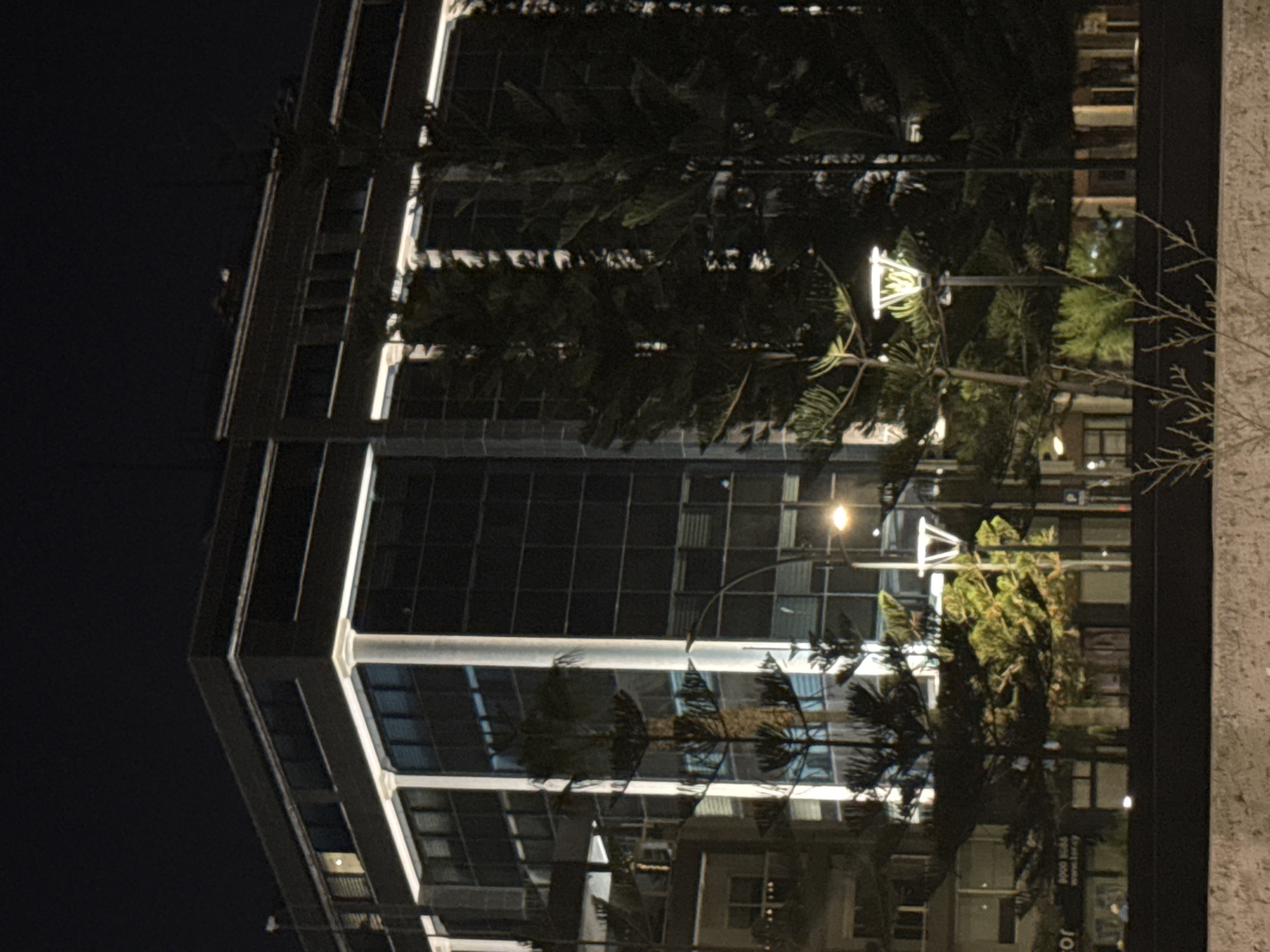 The image depicts a nighttime street view of a modern, multi-story building in Limassol, Cyprus. The building features a dark facade with numerous windows, many of which are illuminated from within, creating a grid-like pattern of light. Vertical white columns, also illuminated, accentuate the building's architecture. Several tall, dark green trees, characteristic of the region, are positioned in front of the building, partially obscuring its facade. One of these trees is a Norfolk Island pine, identifiable by its distinctive tiered branches. Streetlights with modern, geometric designs illuminate the foreground and parts of the trees. A darker, horizontal structure, possibly a barrier or a lower building, runs across the bottom of the image, with some foliage and dry branches in front of it. The overall impression is one of a well-lit urban environment at night.