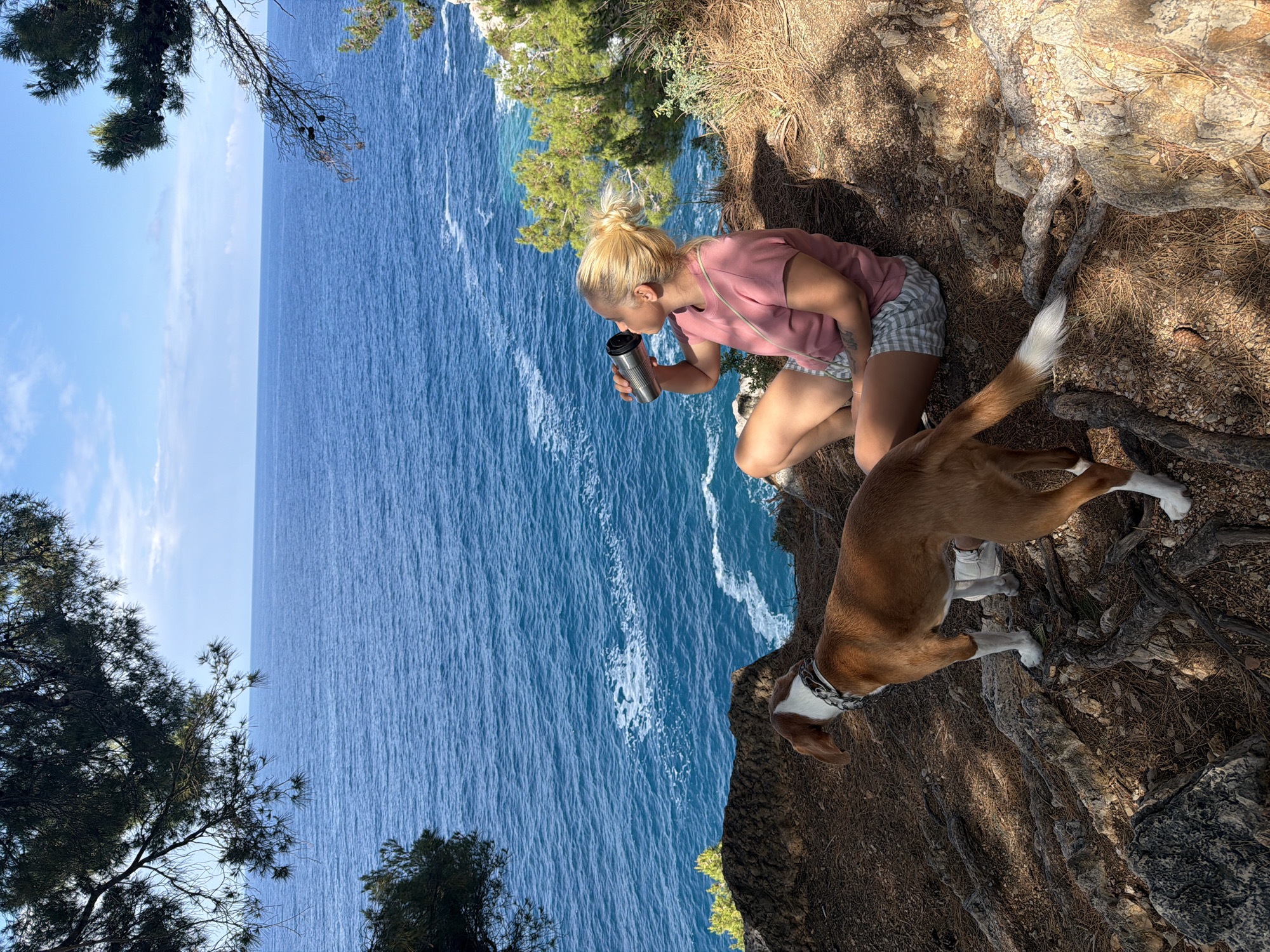 A bright and sunny coastal scene captured from an elevated viewpoint showcases a woman and her dog pausing on a clifftop overlooking the sea. The woman, with blonde hair tied in a bun, is dressed in a pink t-shirt and striped shorts. She is crouched, taking a sip from a silver, insulated travel mug or thermos. Beside her stands a medium-sized dog with a brown body, white chest, paws, and tail tip, wearing a silver chain collar. The dog is looking out towards the water.
The setting is characterized by a steep, earthy cliff edge with prominent, gnarled tree roots and a scattering of pine needles on the ground. Below, the vast expanse of the deep blue sea stretches to the horizon, displaying gentle ripples and scattered whitecaps on its surface. Lush green foliage, including pine trees, frames the scene from the upper left and upper right, adding to the natural environment. The sky above is clear and bright blue with a few wispy white clouds.
The image conveys a sense of peaceful relaxation, likely during a walk or hike, as the woman and her canine companion take a moment to enjoy the scenic overlook. Strong sunlight suggests either morning or afternoon, casting clear shadows and illuminating the vibrant colors of the landscape. The location is contextualized as Petrovac centar, Montenegro, indicating a Mediterranean coastal vista. No visible text is present in the image.
