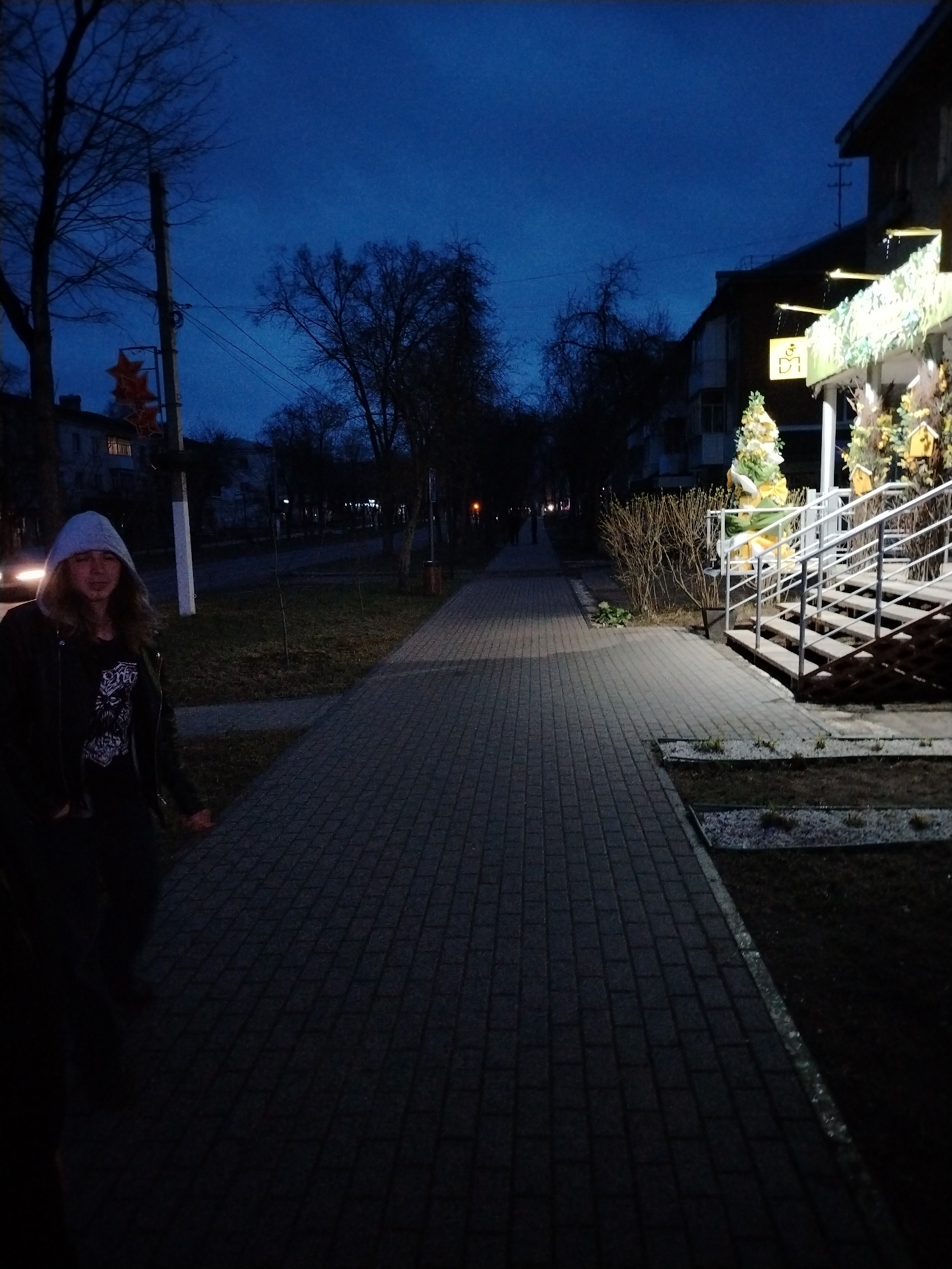 The image shows a person standing on a brick walkway in Chaikovsky, Russia, at dusk. The person is wearing a hoodie and a dark jacket. The walkway extends into the distance, lined with trees and streetlights. On the right side of the walkway, there are stairs leading up to a building with decorative lights and displays. In the background, there are other buildings and trees. The scene is dimly lit, with a blue-tinged sky. A power pole is visible near a building in the distance with a lighted star-shaped decoration on it. The walkway has a brick pattern of horizontal rows of vertically stacked bricks. The person standing on the walkway is mostly silhouetted, and their facial details are not clear due to the darkness.