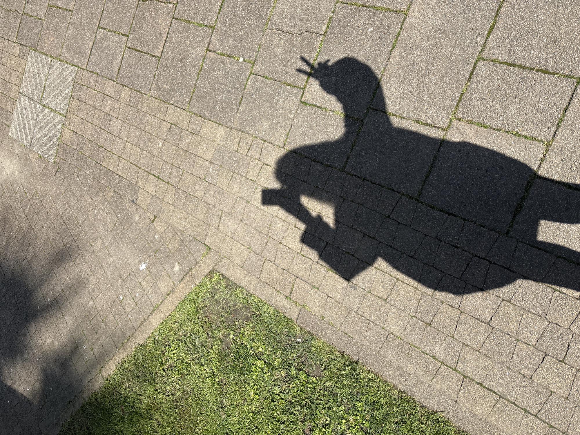 The image shows a section of a paved walkway next to a grassy area. The pavement consists of rectangular and square stones with grass growing in the seams. A person's shadow falls across the pavement. The shadow's head is making a peace sign with their hand. The shadow is holding a rectangular object. The location is a city street. The city is Sochi, Russia.